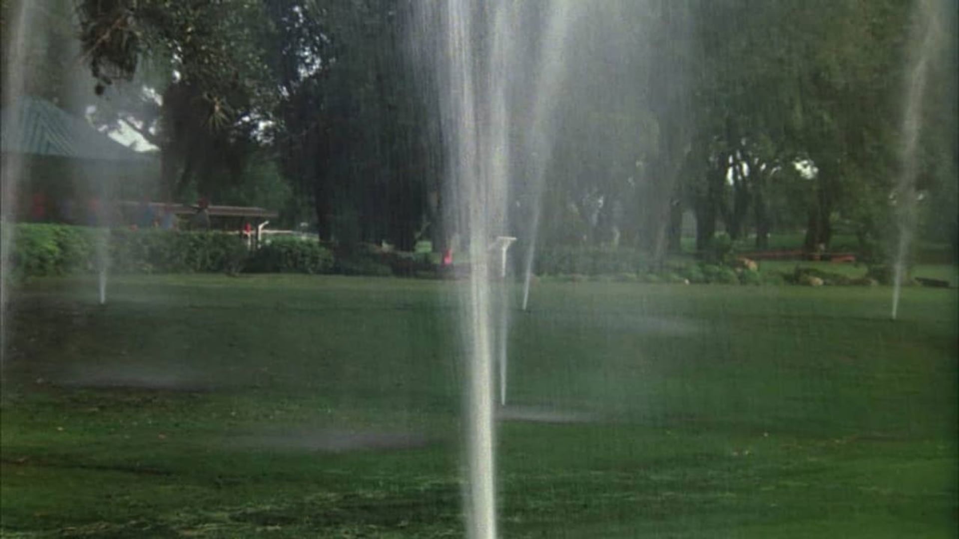 Foto do filme Clube dos Pilantras