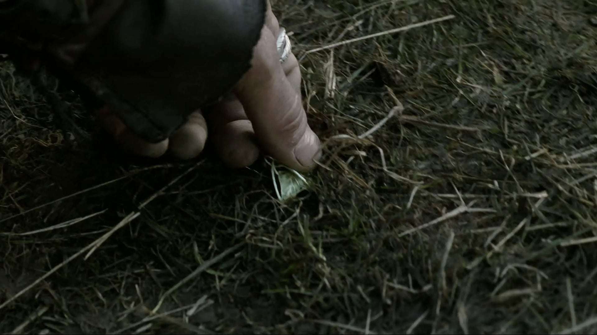 Foto do filme O Senhor dos Anéis: As Duas Torres