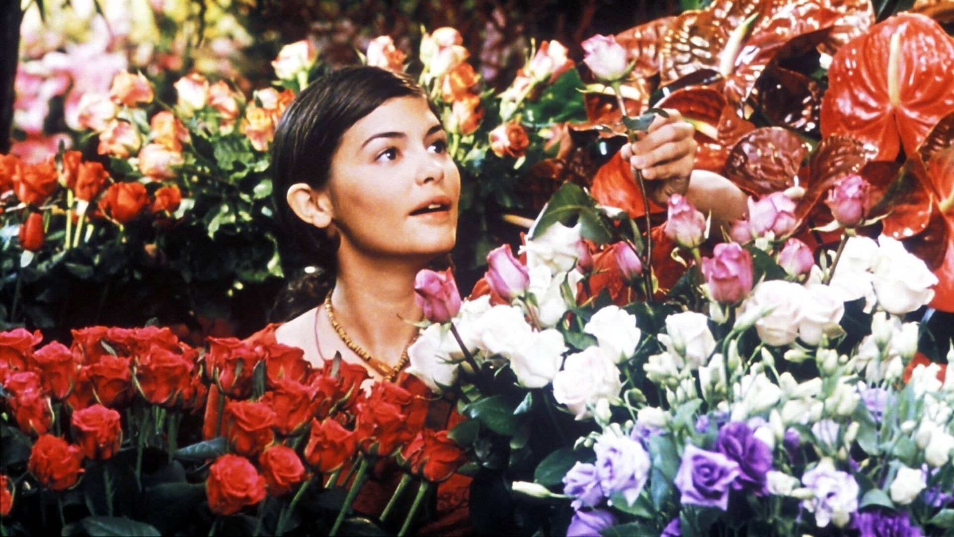 Foto do filme Bem Me Quer, Mal Me Quer