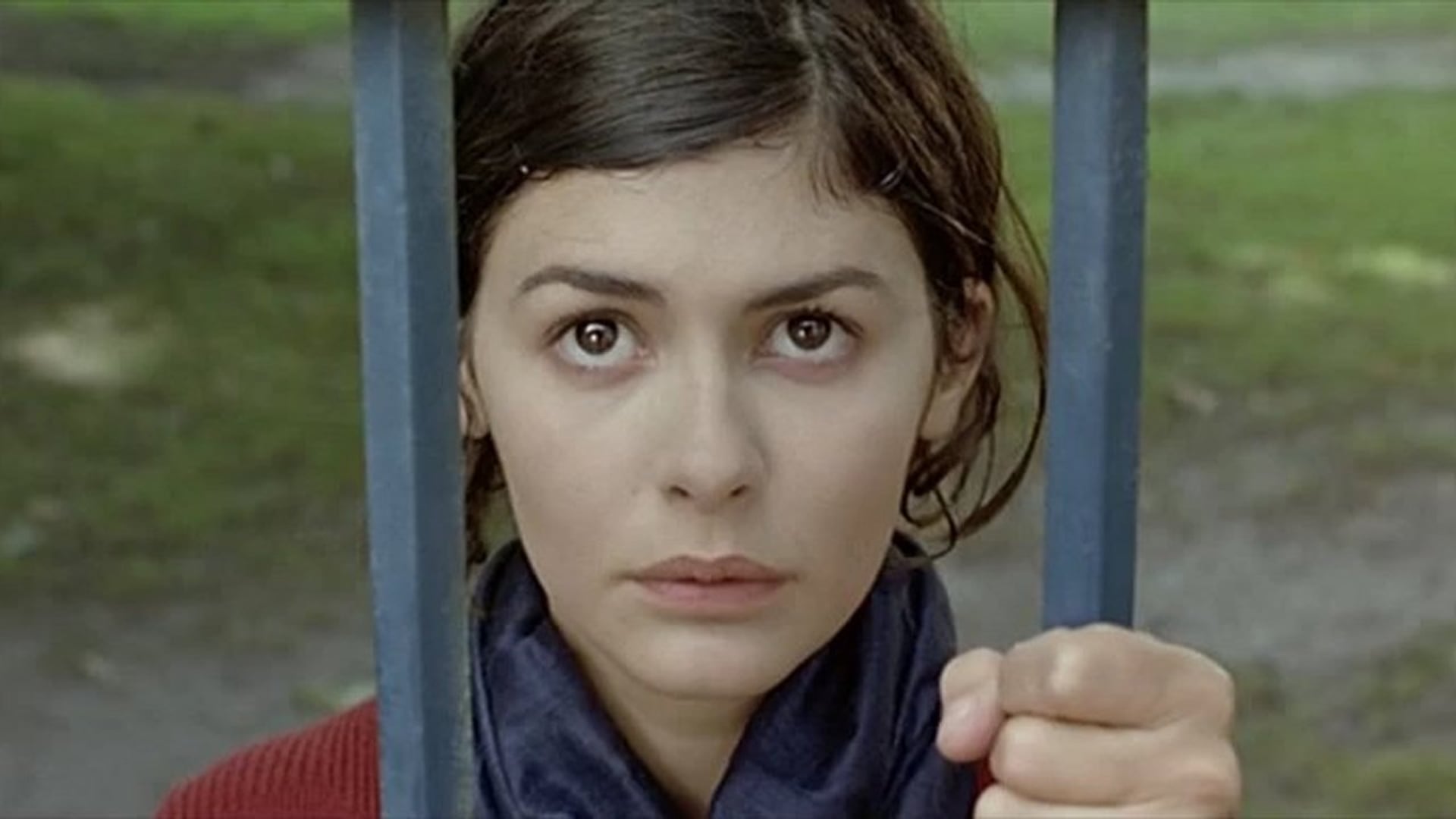 Foto do filme Bem Me Quer, Mal Me Quer