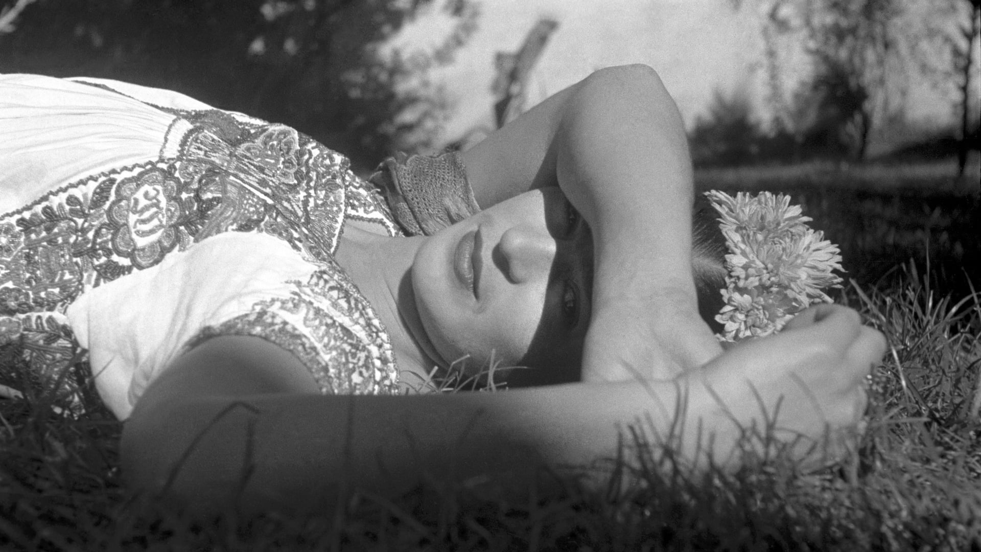 Foto do filme Frida