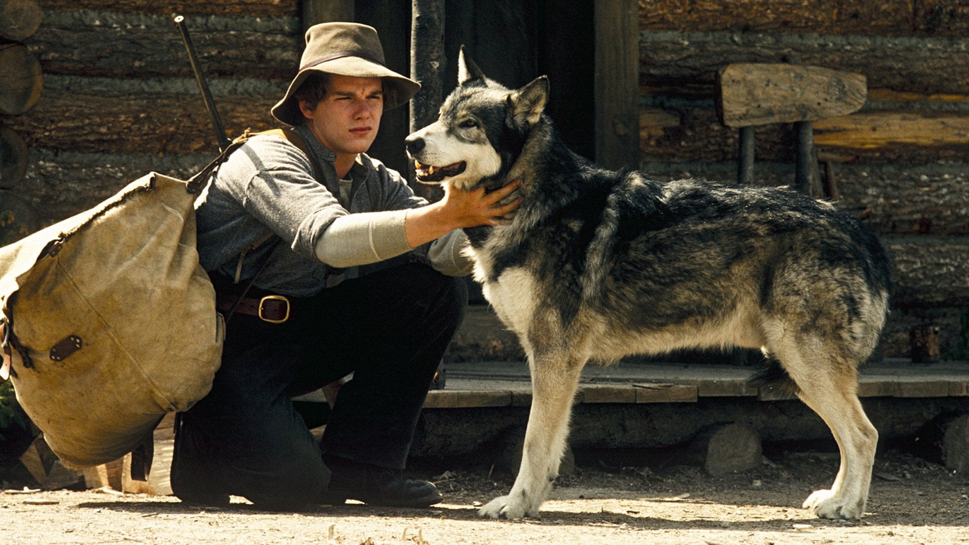 Foto do filme Caninos Brancos