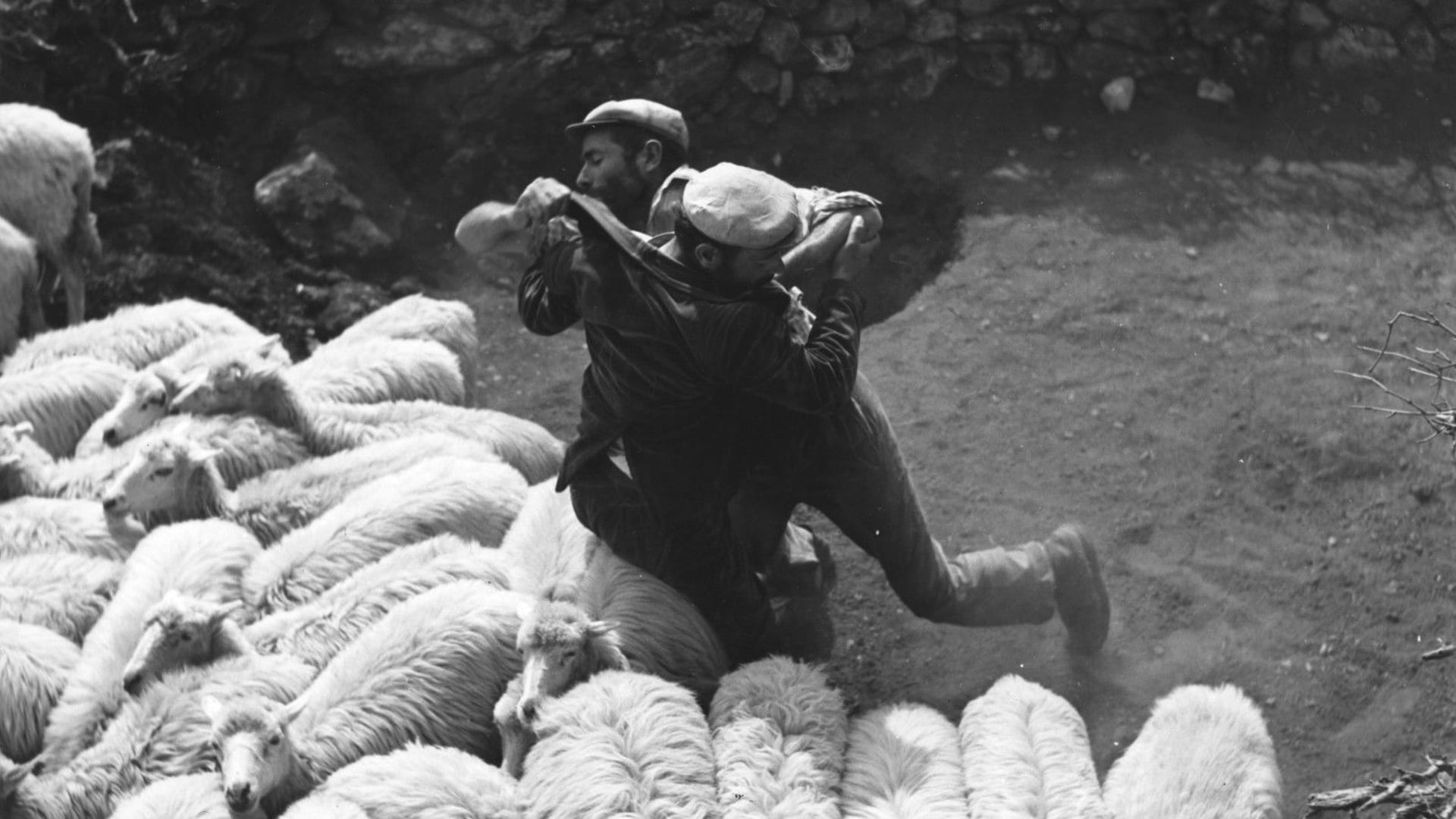 Foto do filme Banditi a Orgosolo