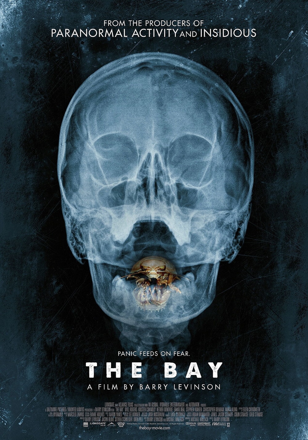 The Bay