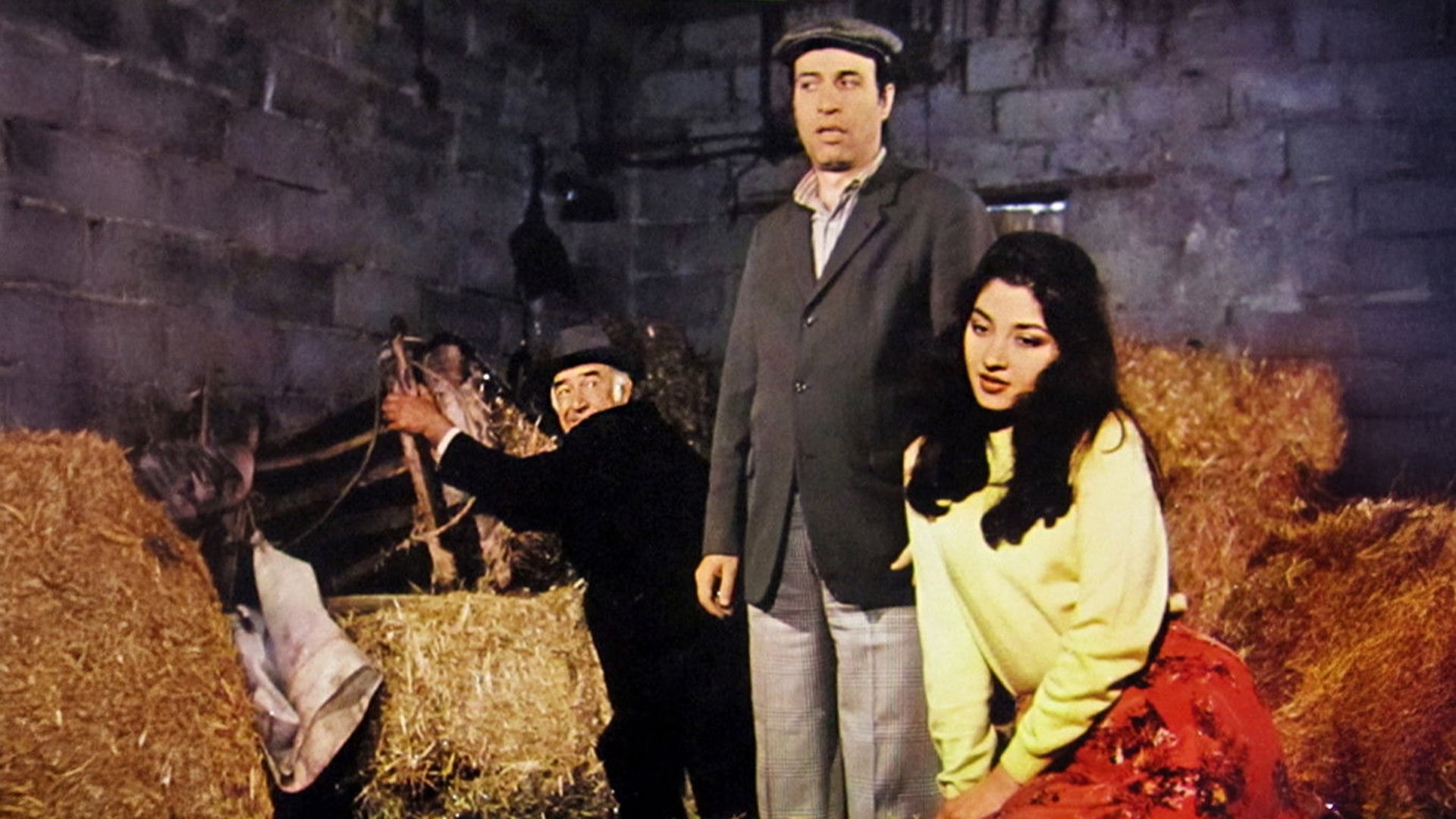 Foto do filme Tokatçı