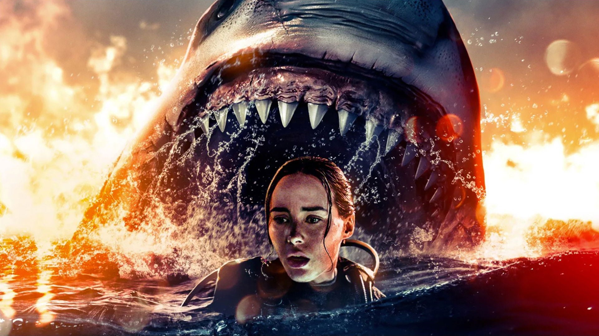 Foto do filme O Último Mergulho