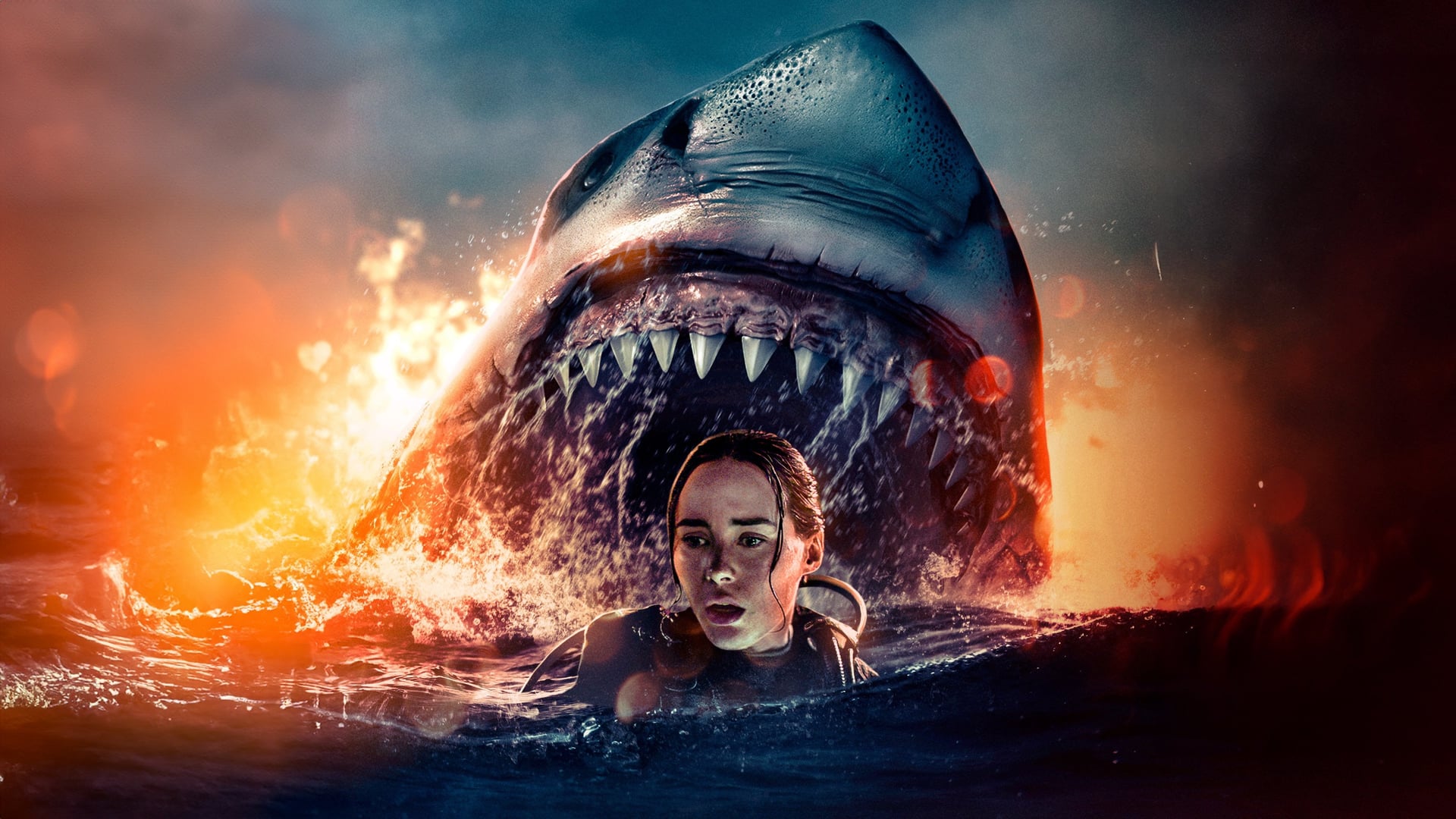 Foto do filme O Último Mergulho