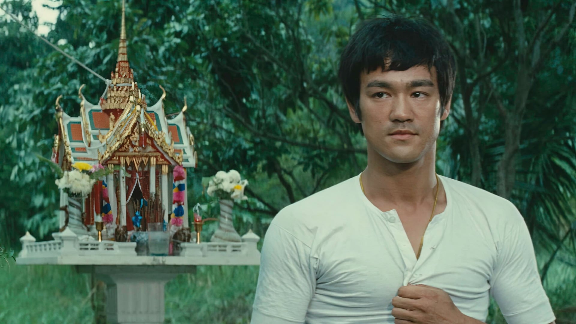 Foto do filme O Dragão Chinês