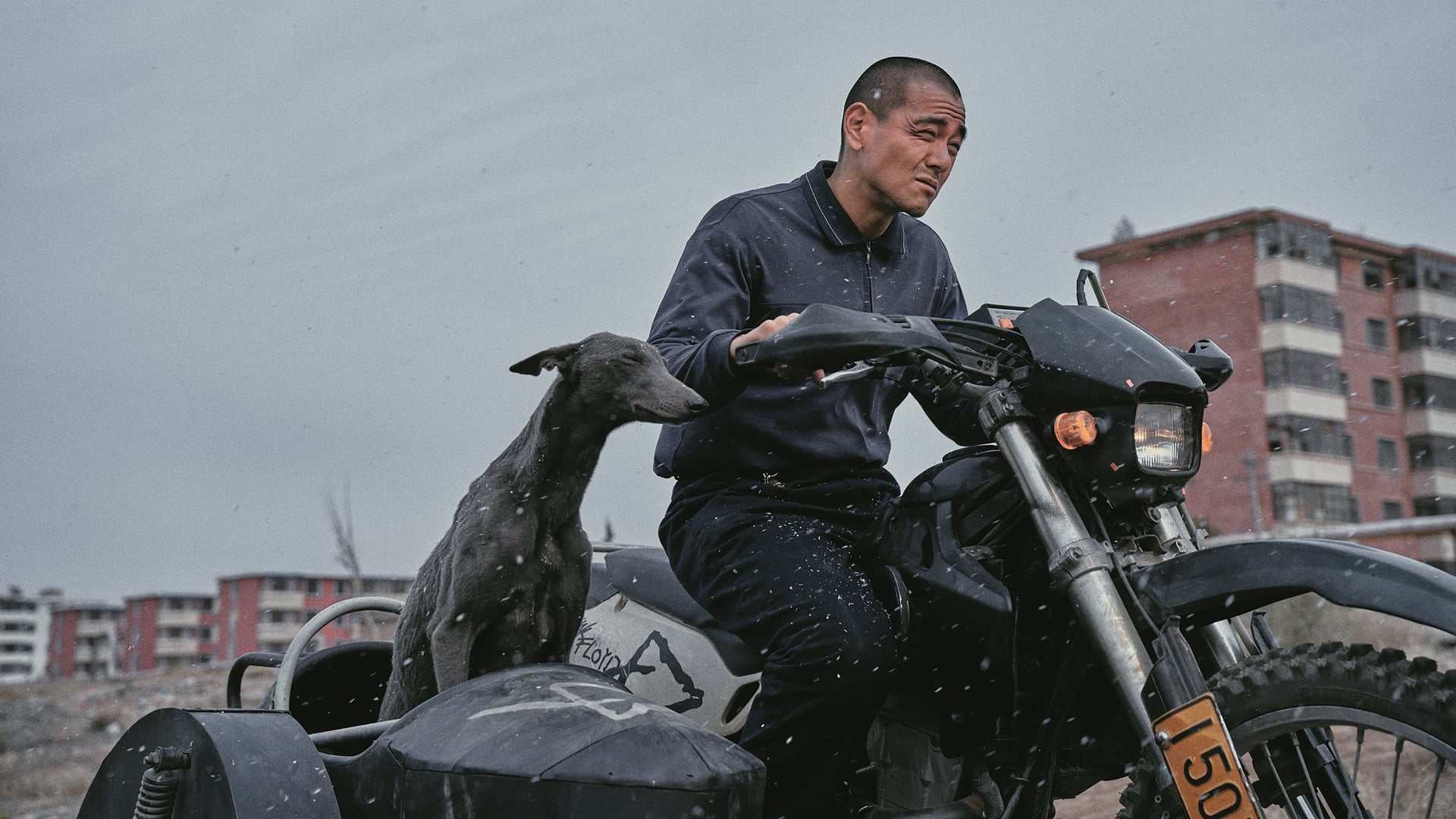 Foto do filme Black Dog