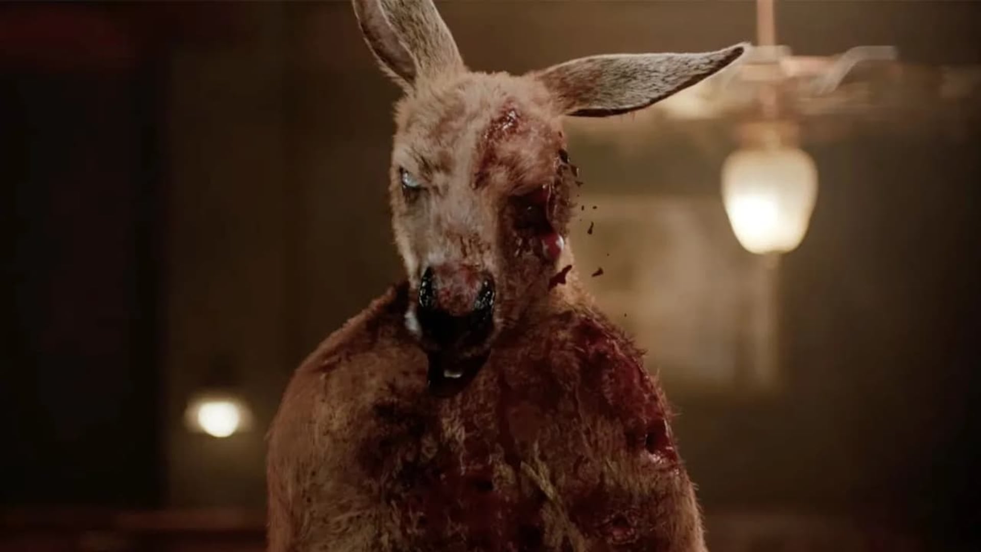 Foto do filme Rippy