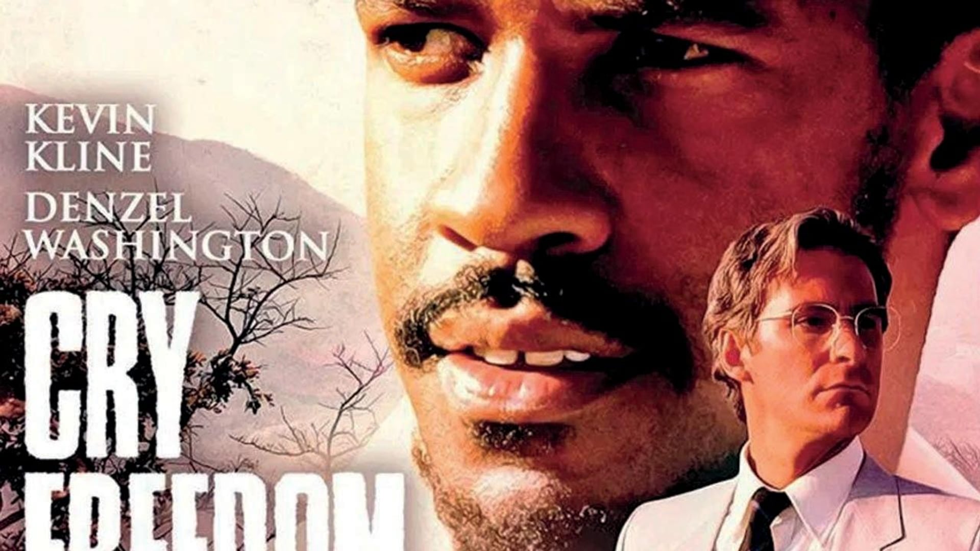 Foto do filme Um Grito de Liberdade