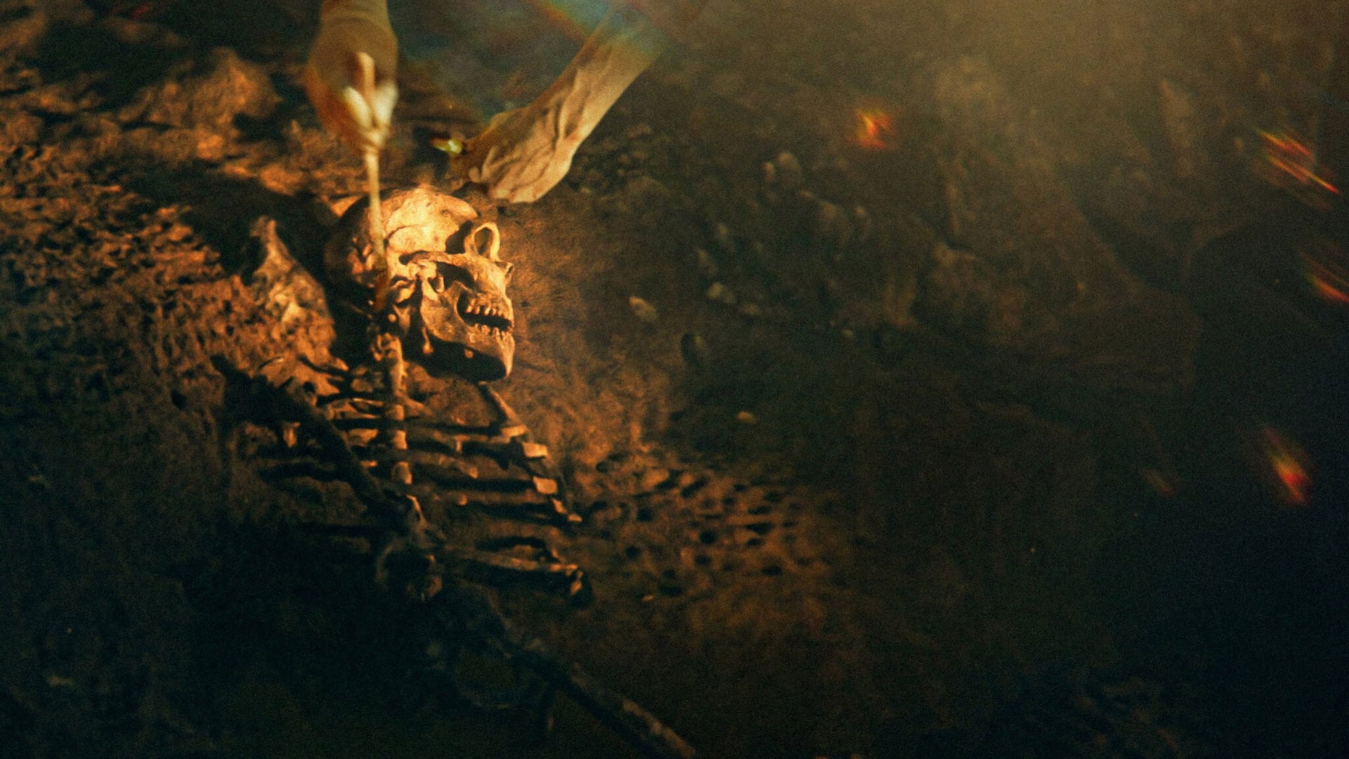 Foto do filme Os Segredos dos Neandertais