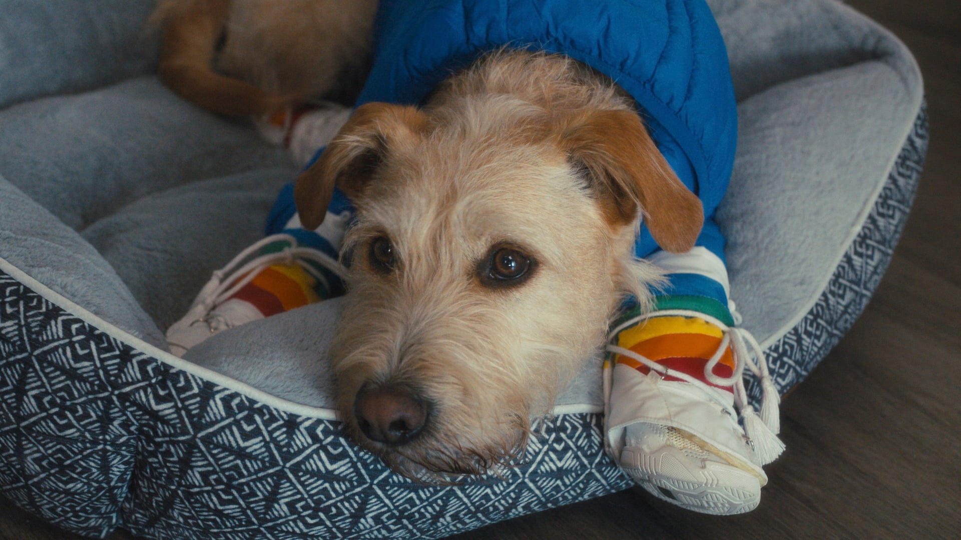 Foto do filme Merv