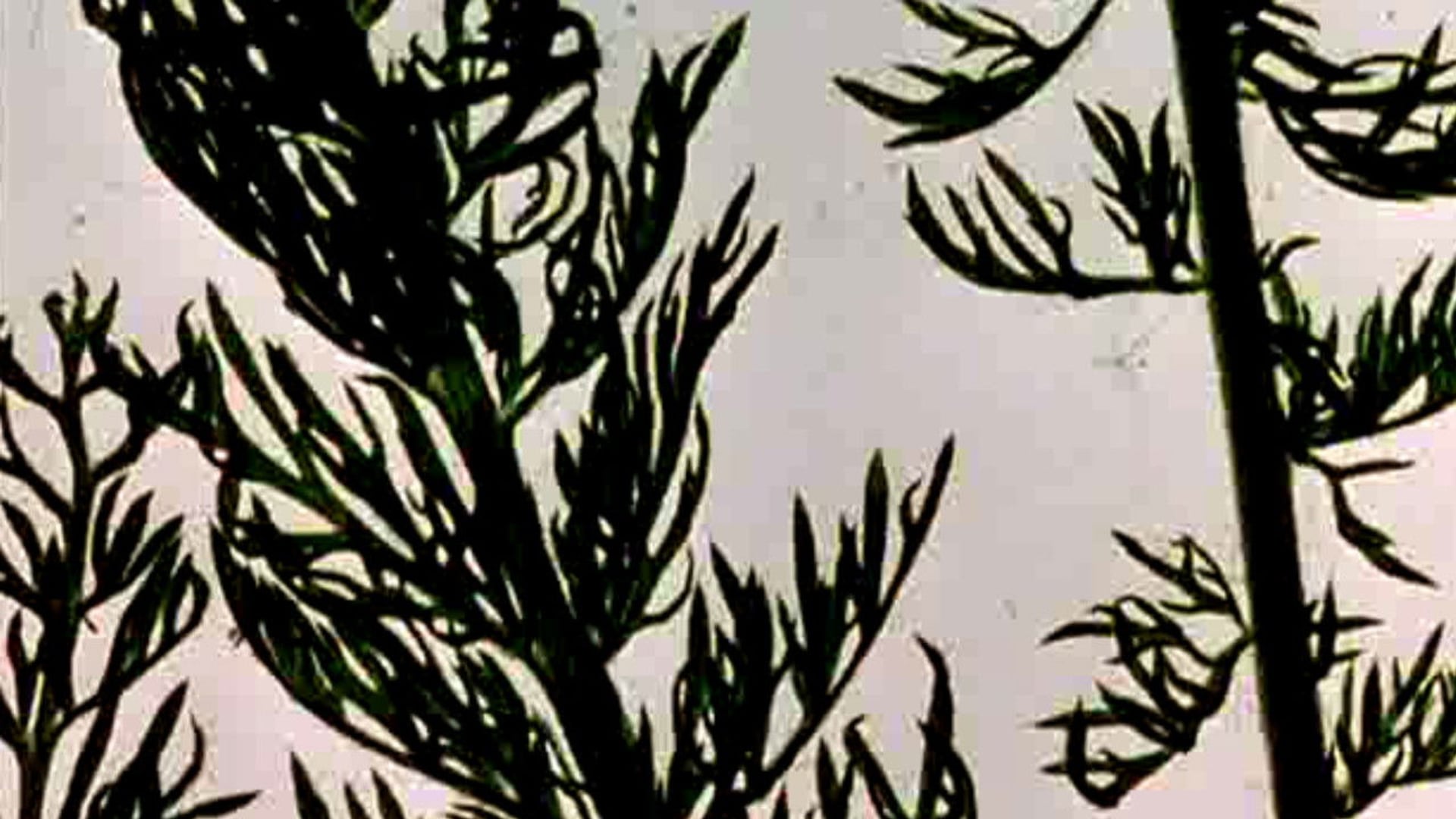 Foto do filme The Garden of Earthly Delights