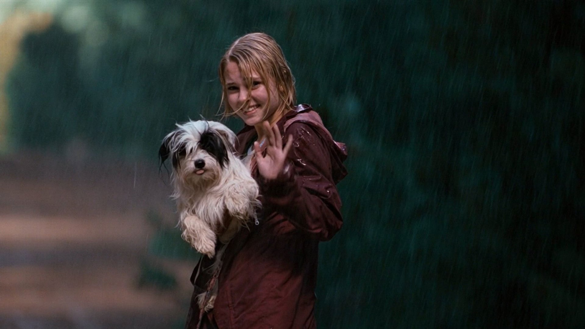 Foto do filme Ponte para Terabítia