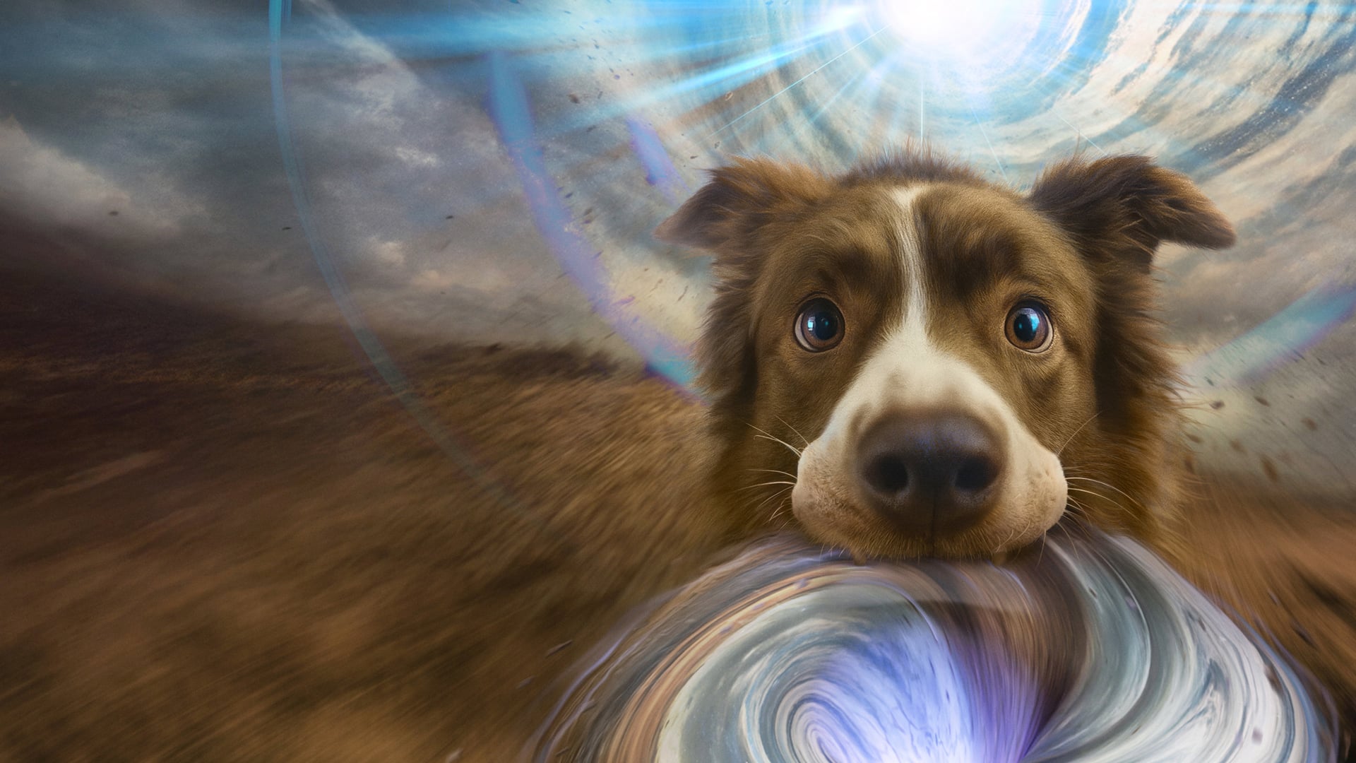 Foto do filme The Dog of Many Tomorrows