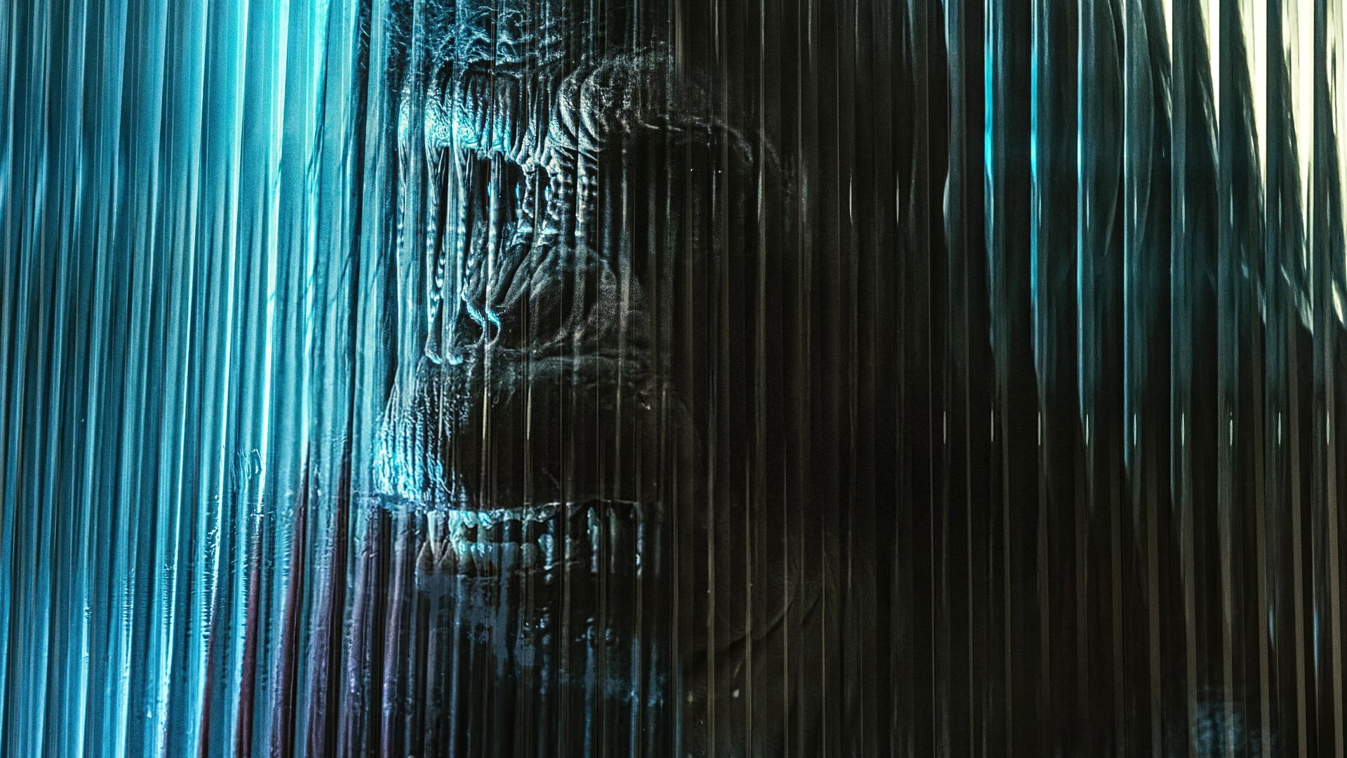 Foto do filme O Primata