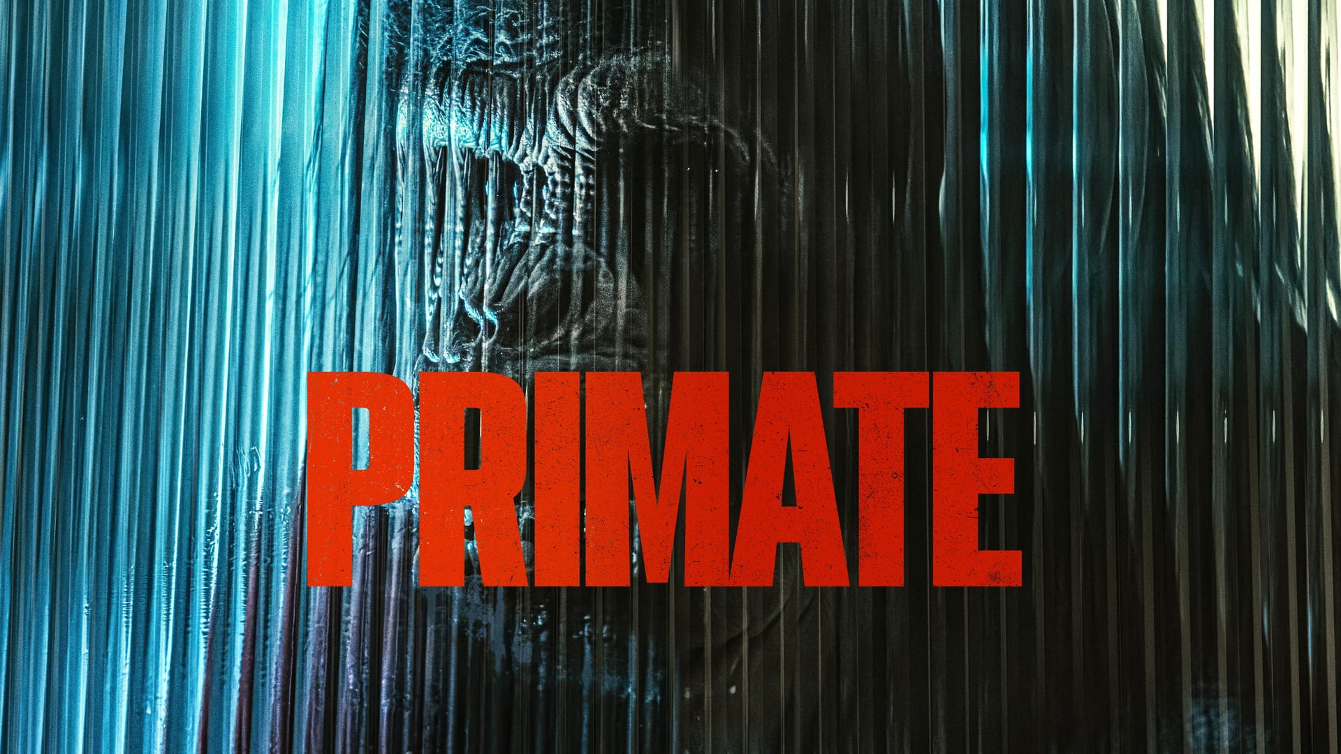 Foto do filme O Primata