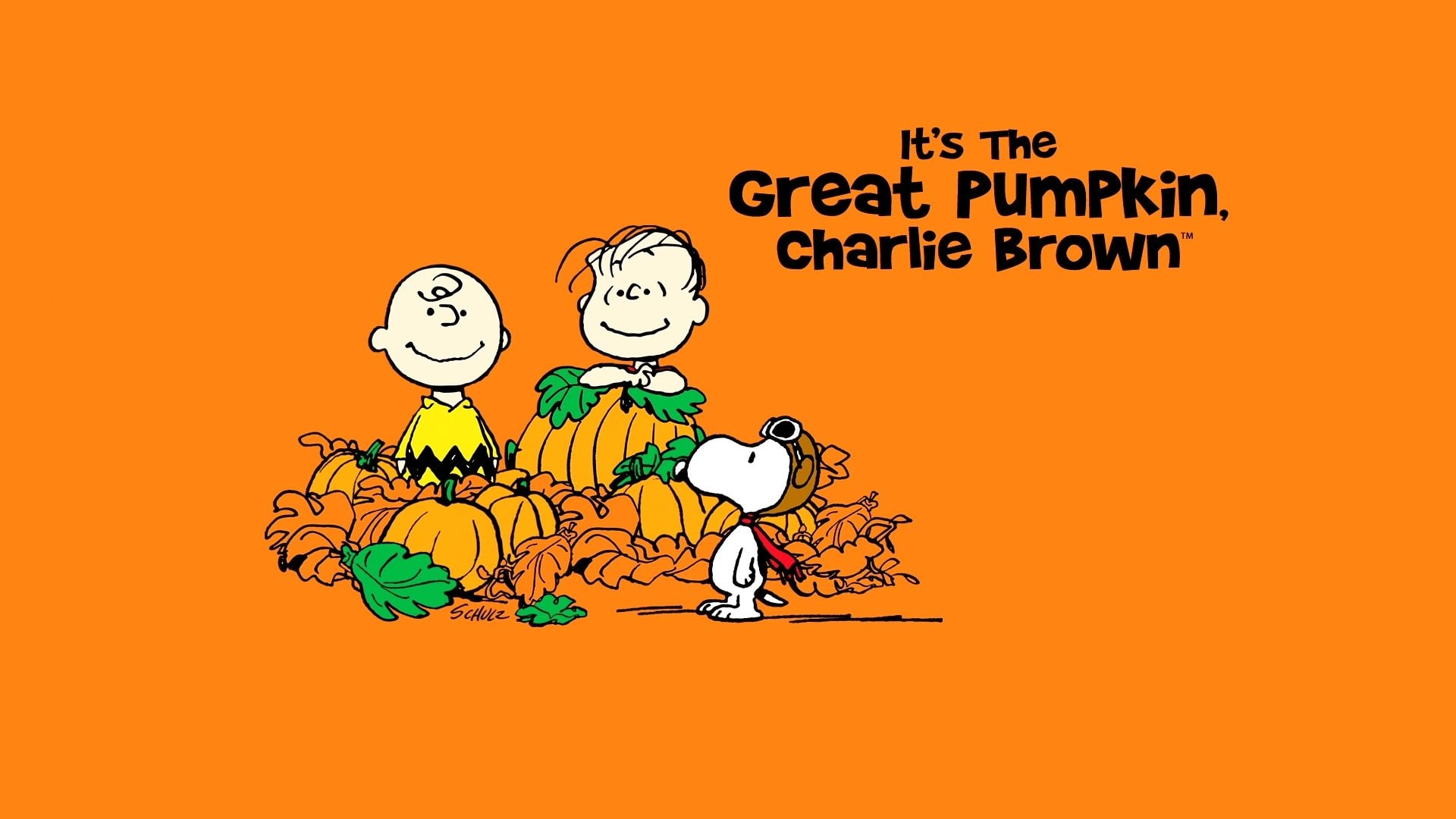 Foto do filme Charlie Brown e a Grande Abóbora