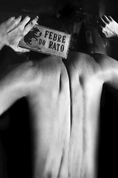Febre do Rato