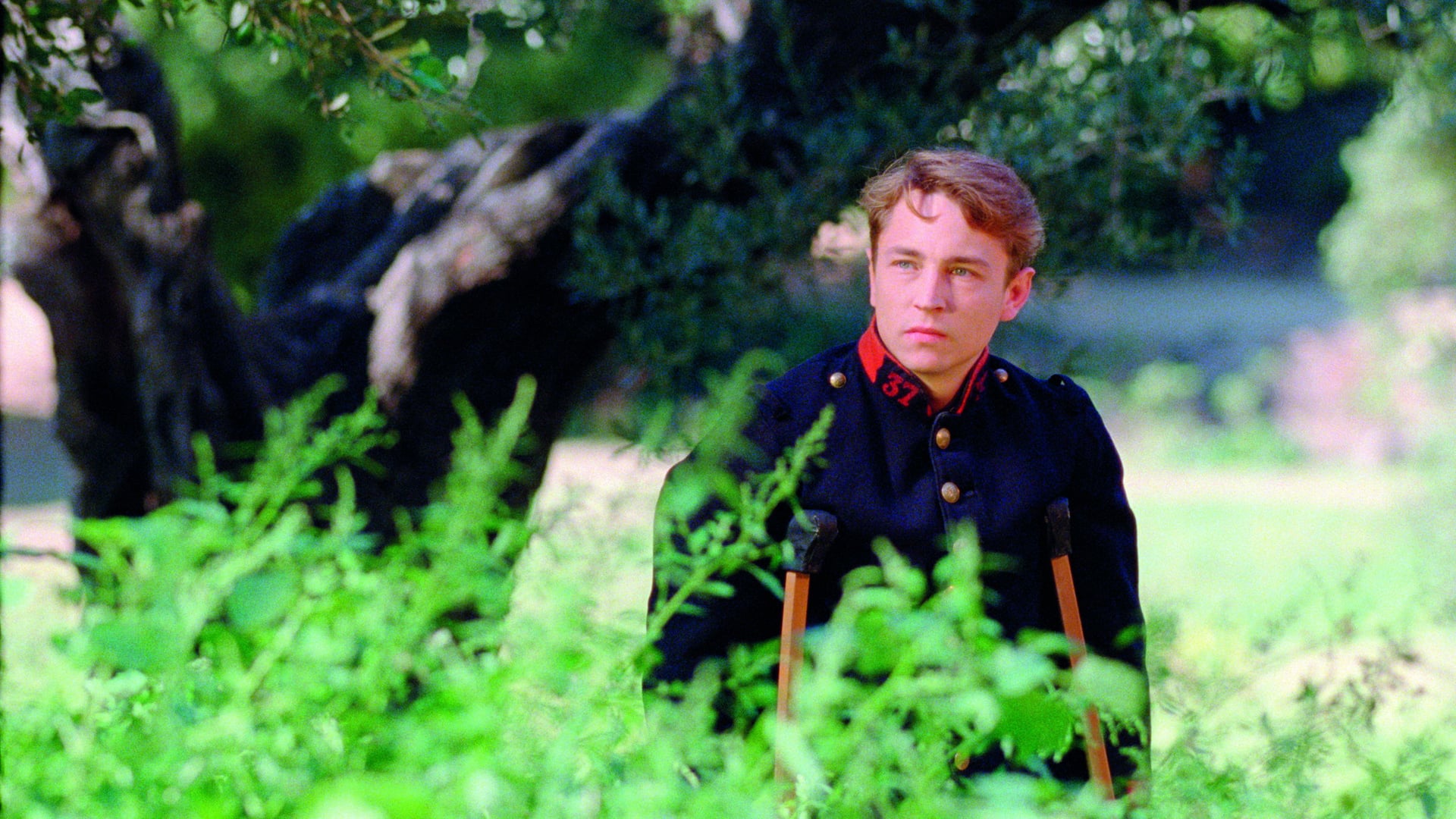 Foto do filme Renoir