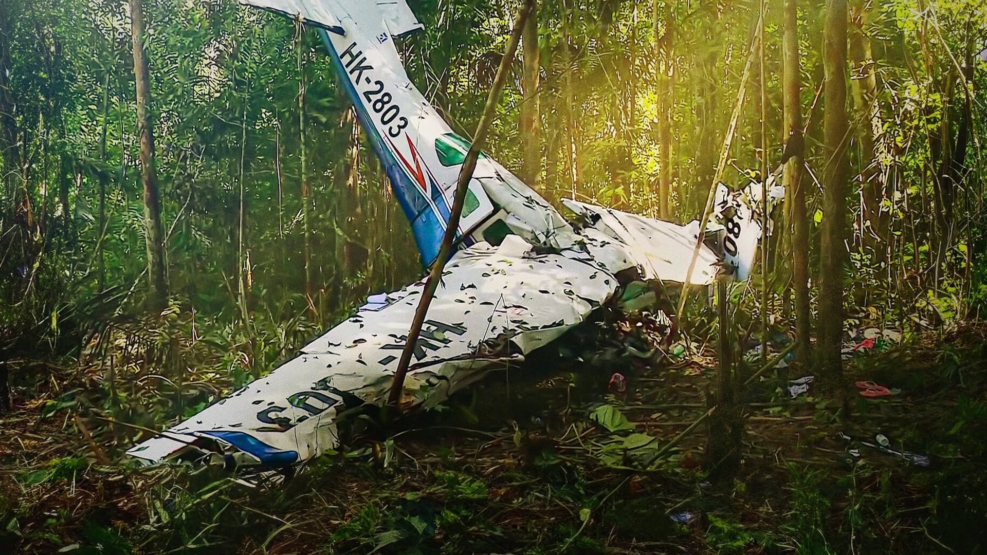 Foto do filme As Crianças Perdidas
