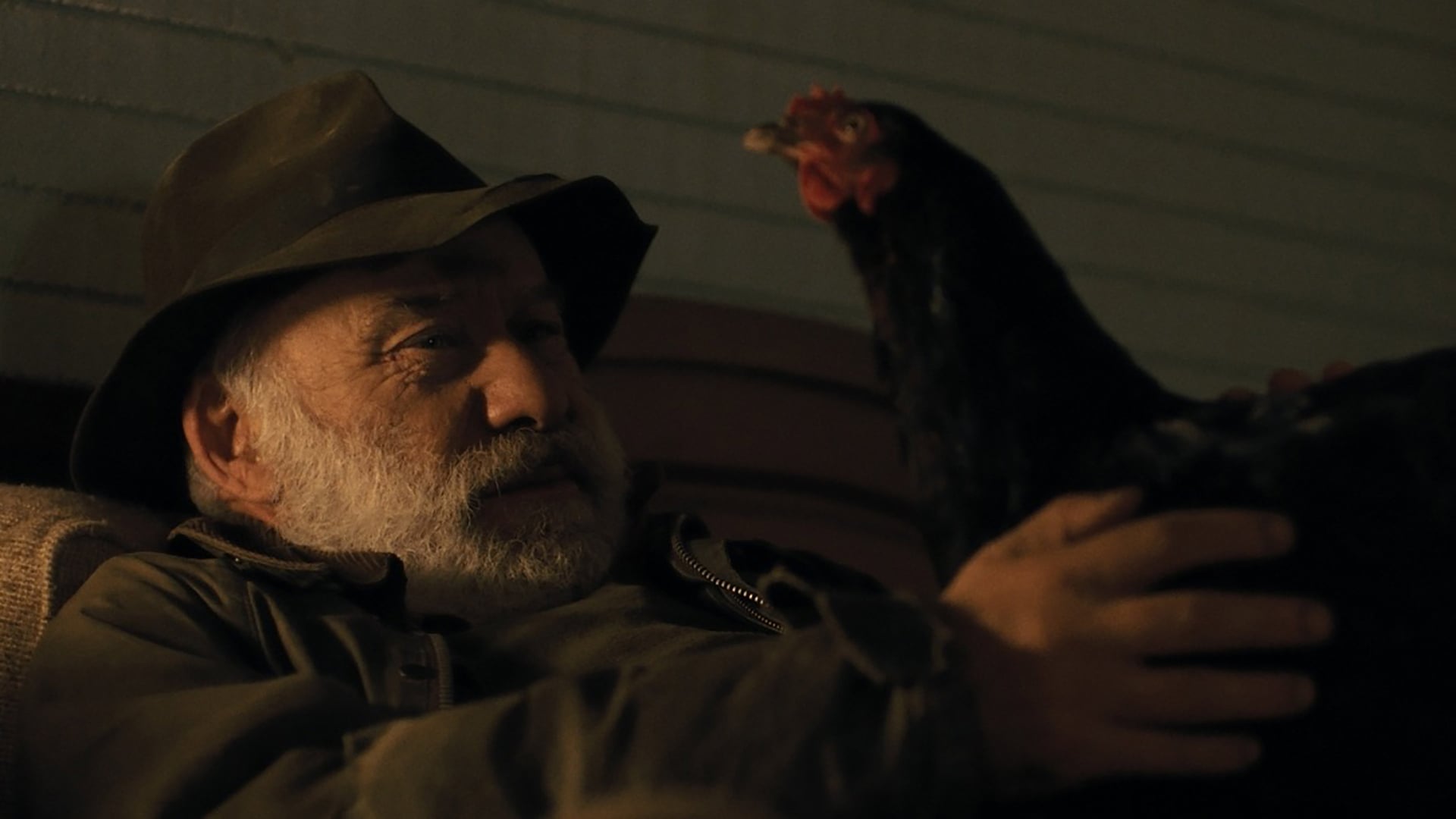 Foto do filme Hen