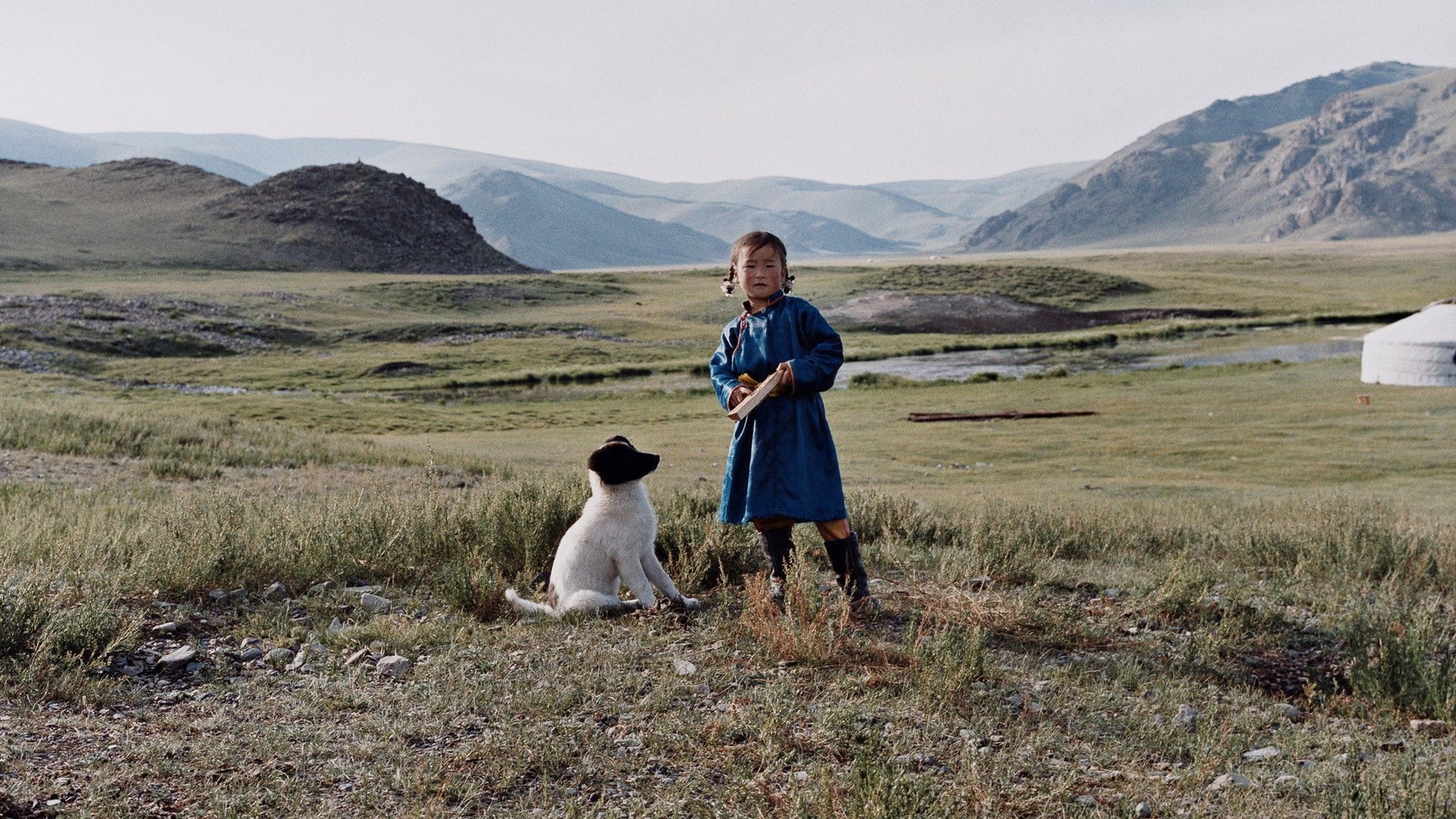 Foto do filme The Cave of the Yellow Dog