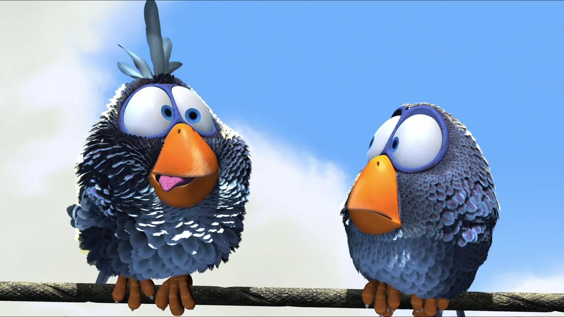 Foto do filme Coisas de Pássaros