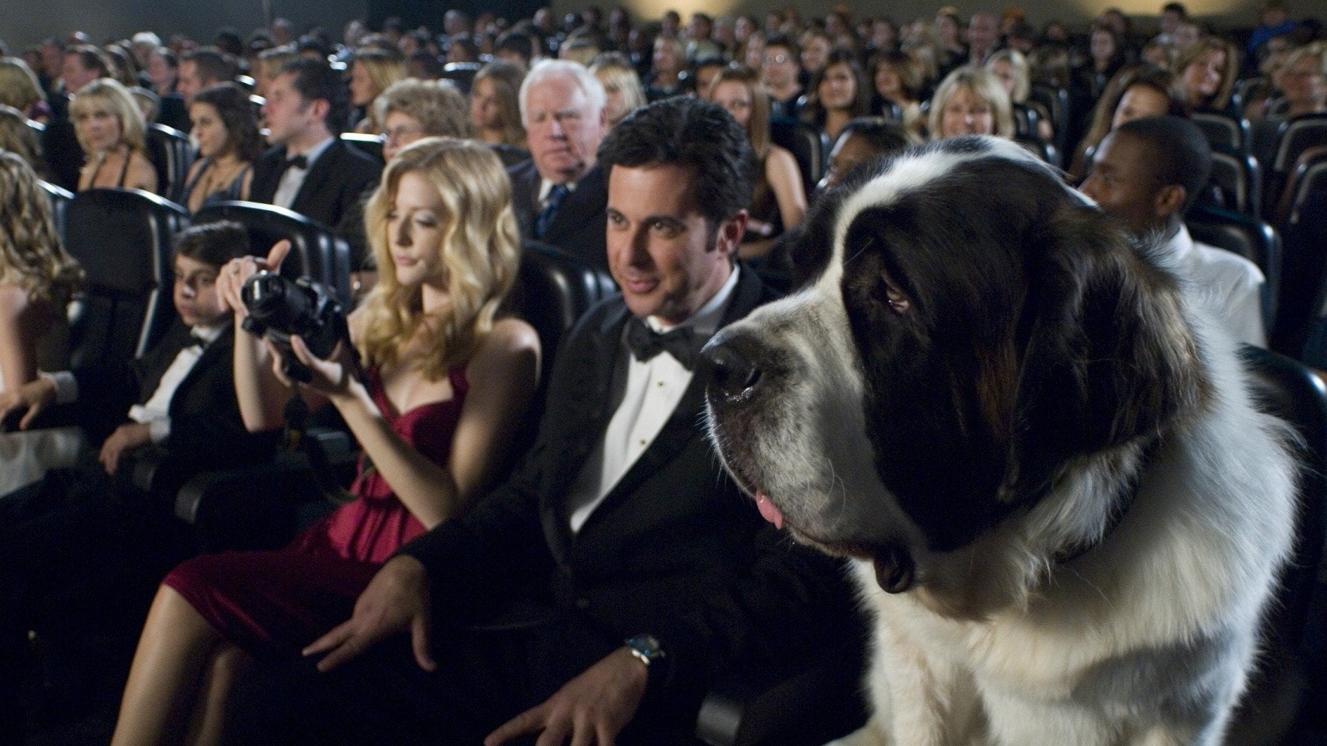 Foto do filme Beethoven: A Corrida Para a Fama
