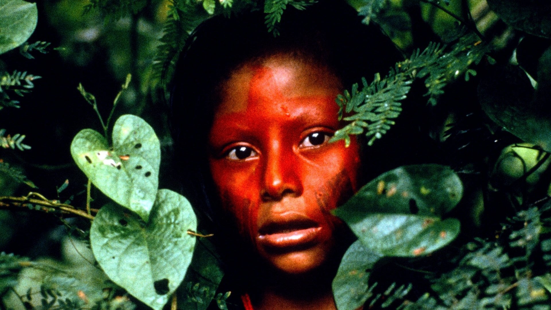 Foto do filme Baraka