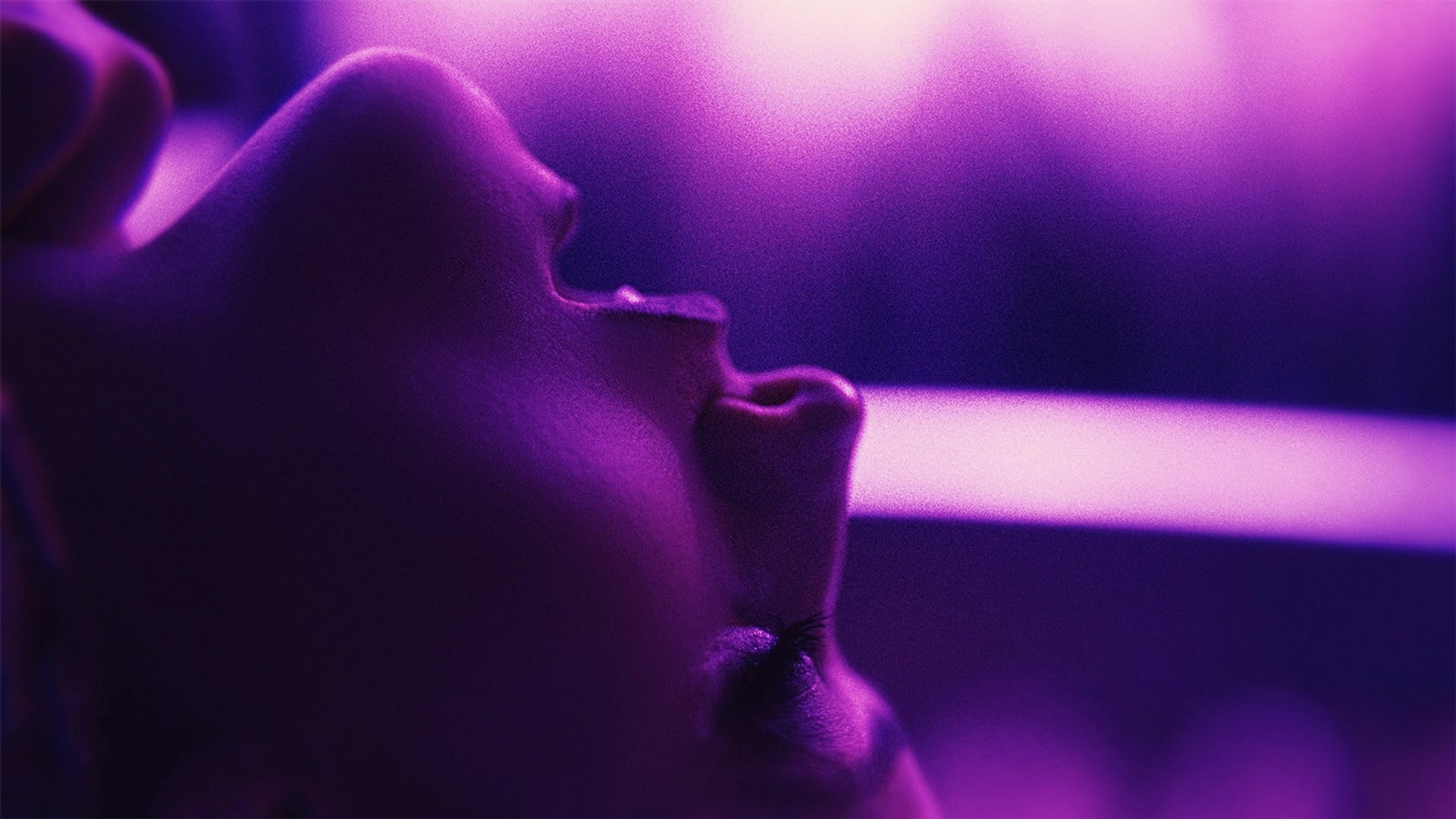 Foto do filme Touch Me