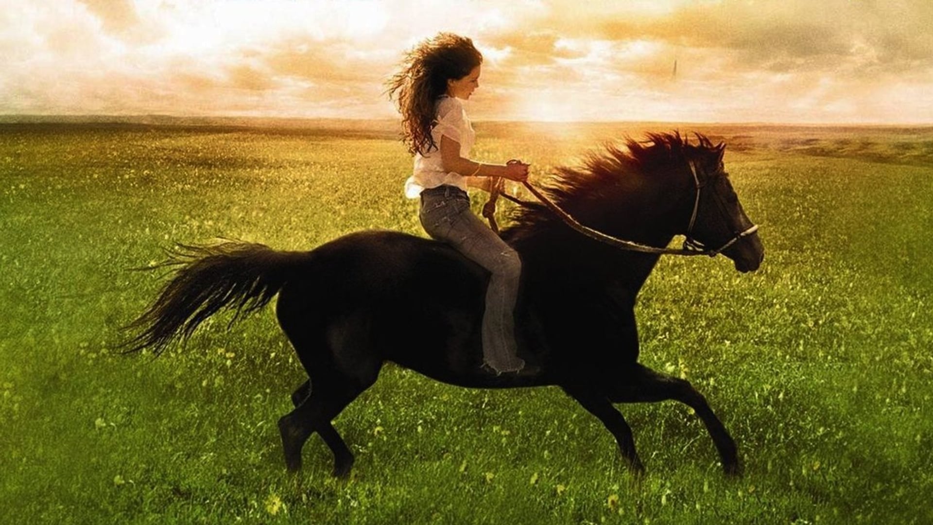 Foto do filme Flicka