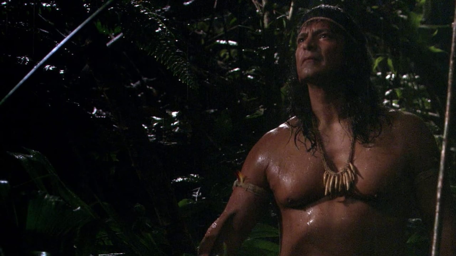 Foto do filme Terra Selvagem
