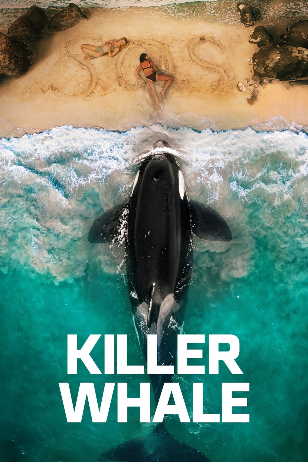 Orca: A Baleia Assassina