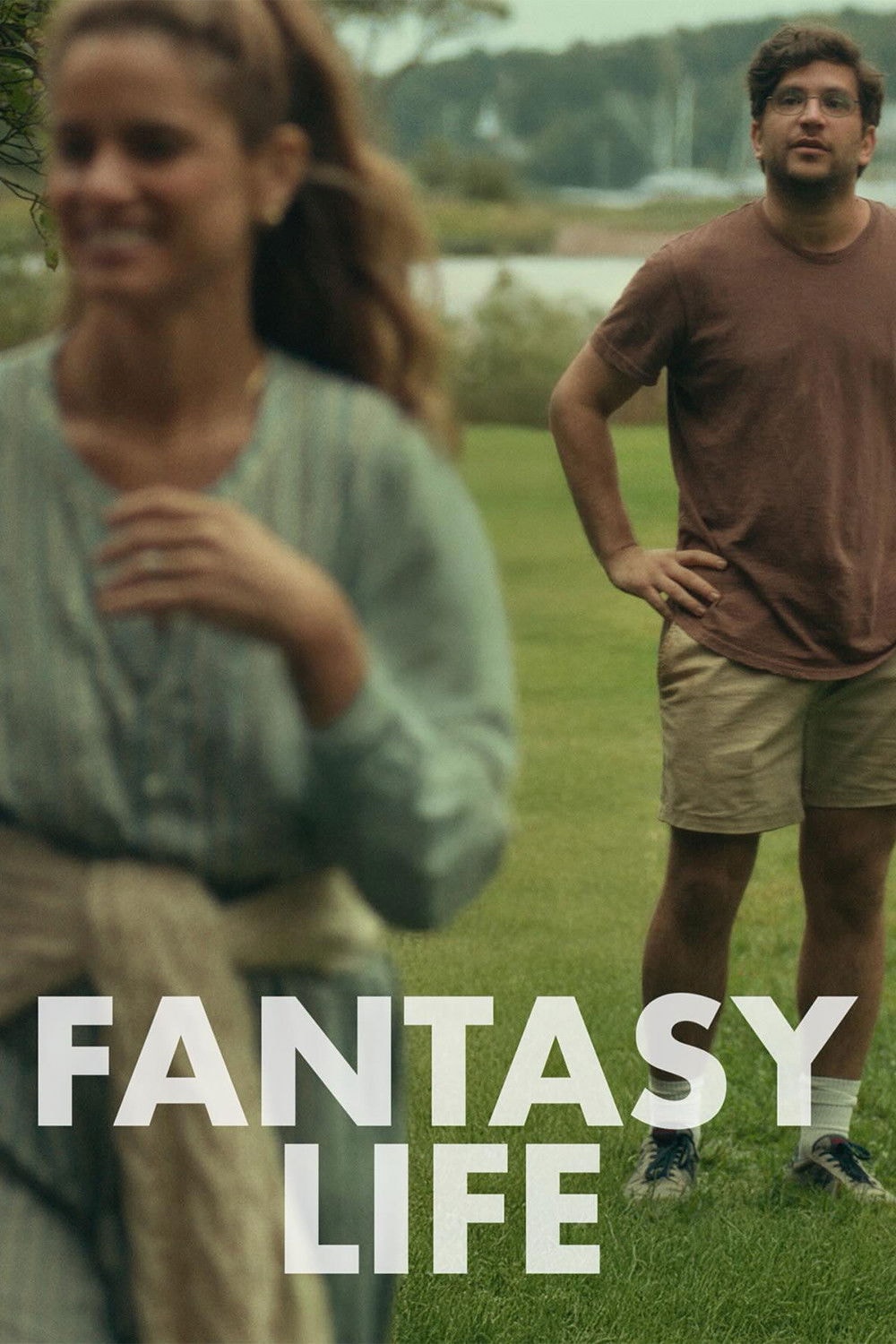 Fantasy Life