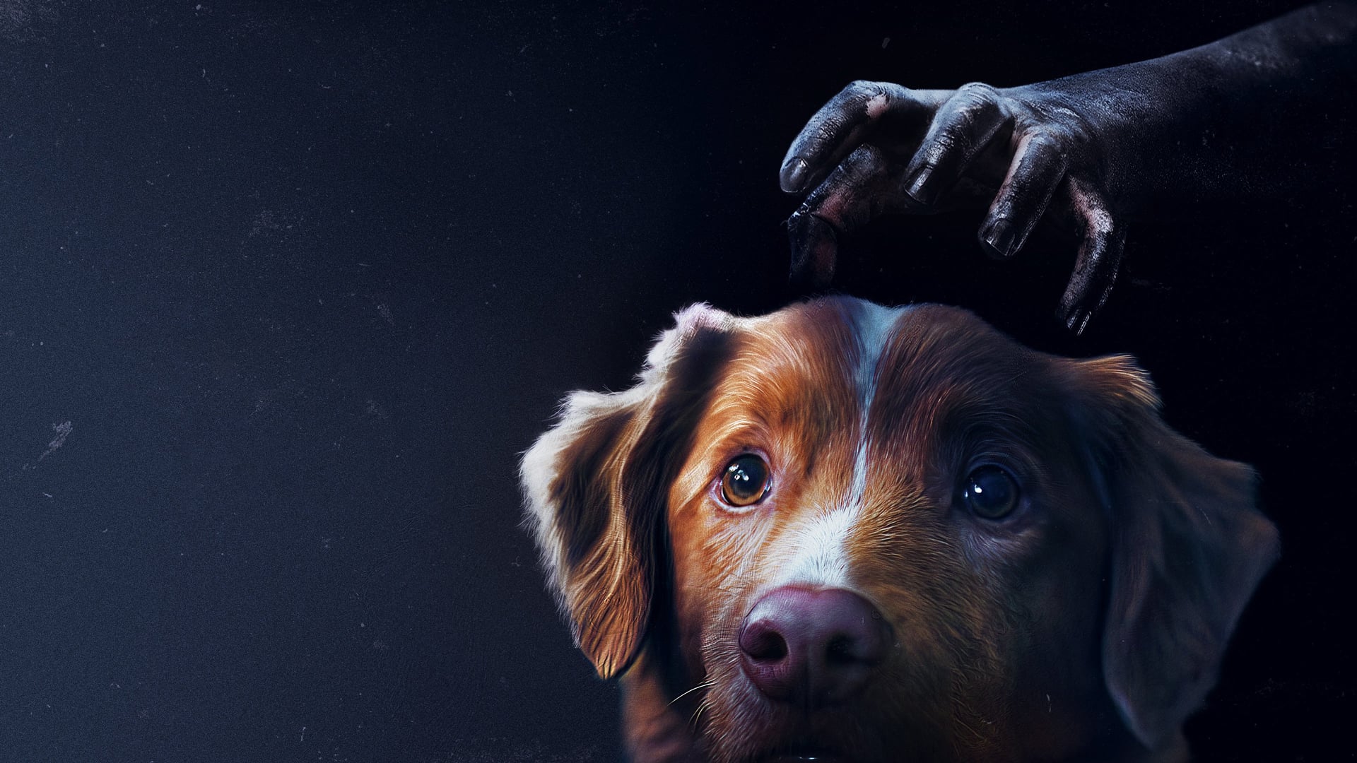Foto do filme Bom Menino