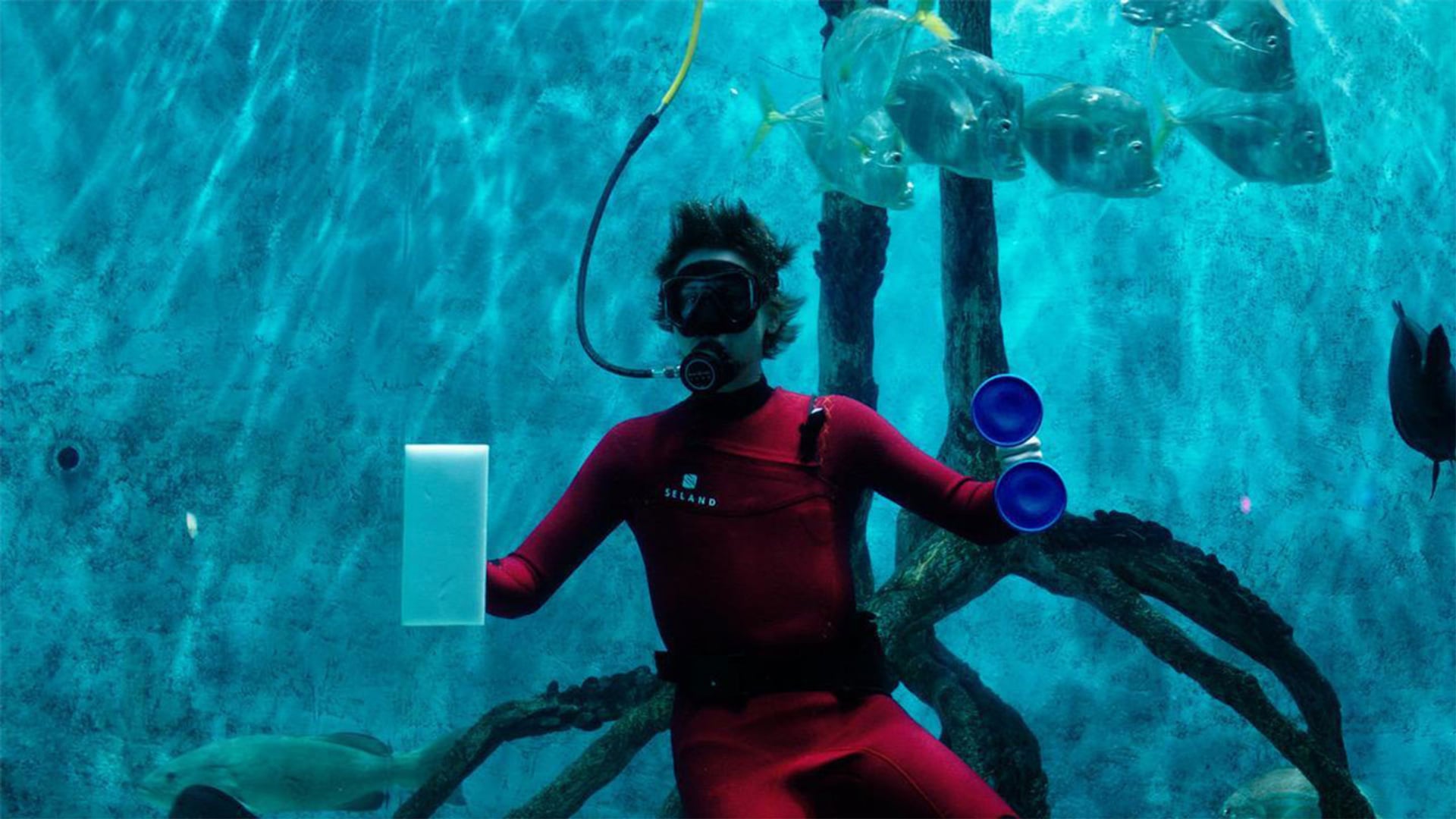 Foto do filme Mermaid