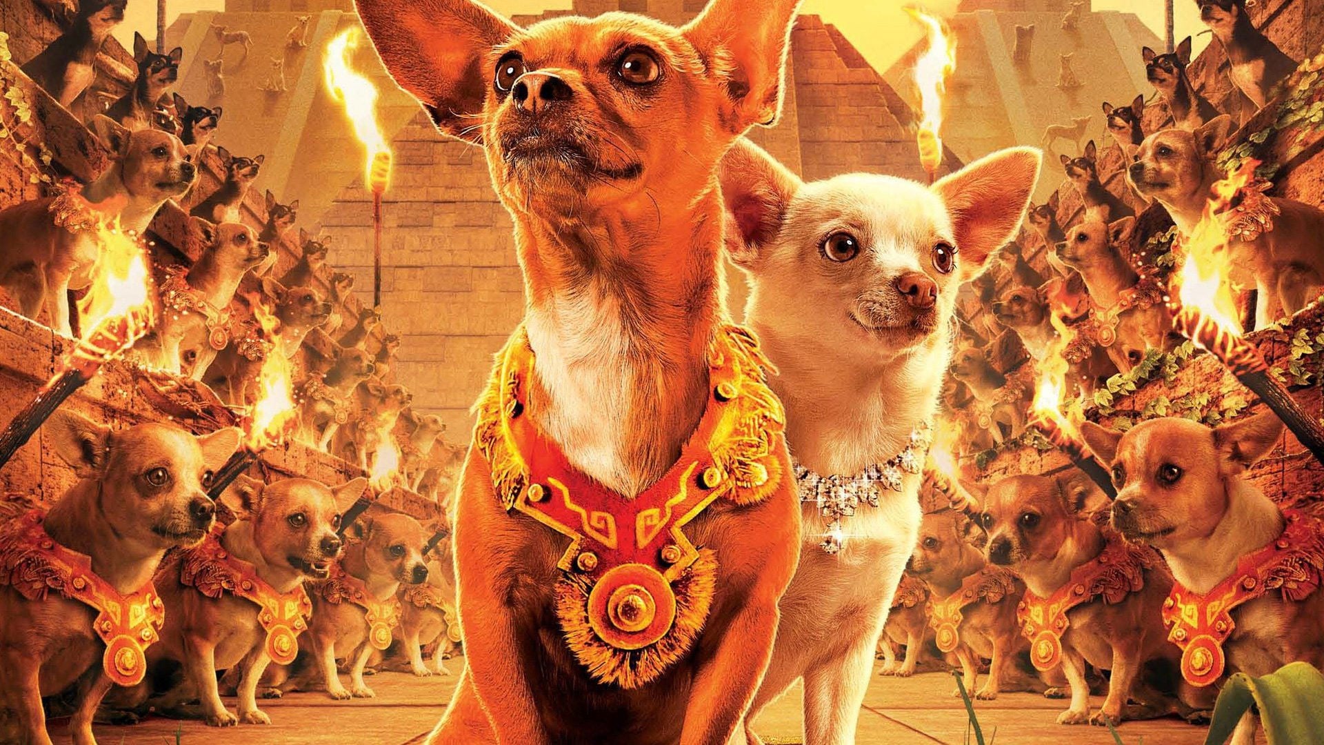 Foto do filme Perdido pra Cachorro
