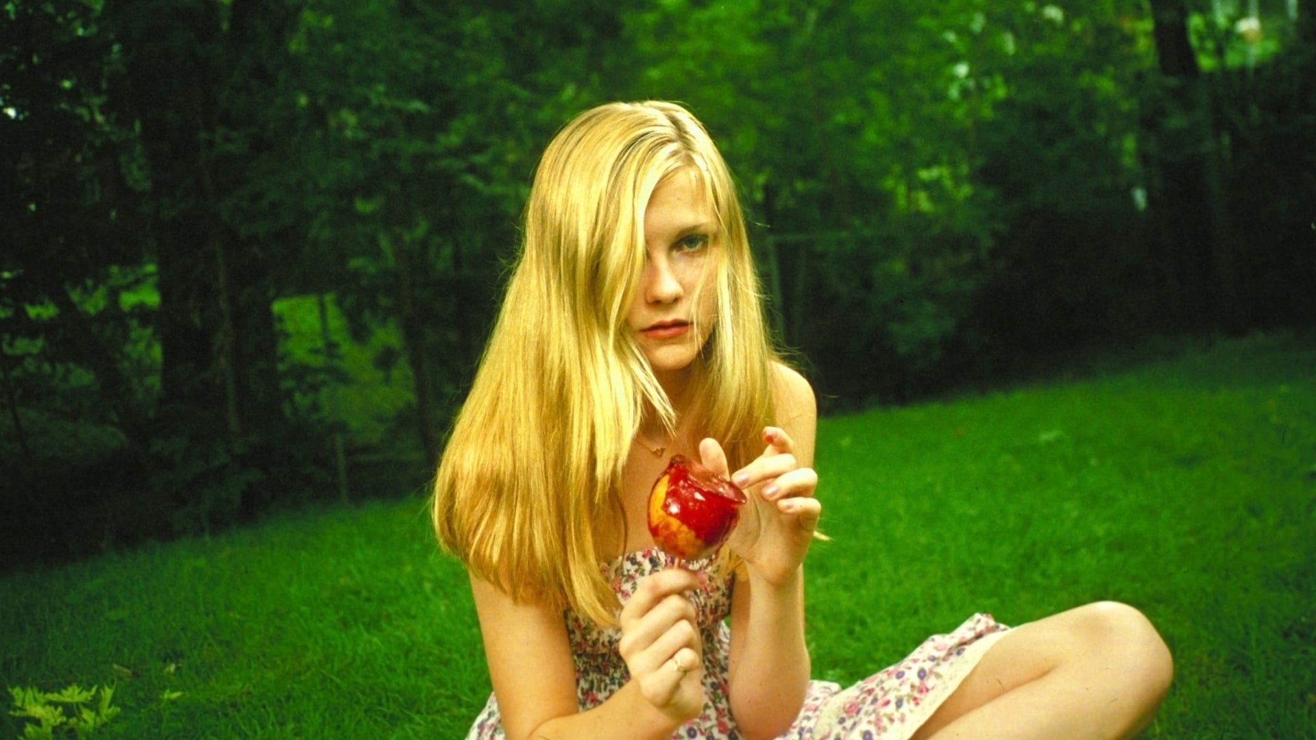 Foto do filme As Virgens Suicidas