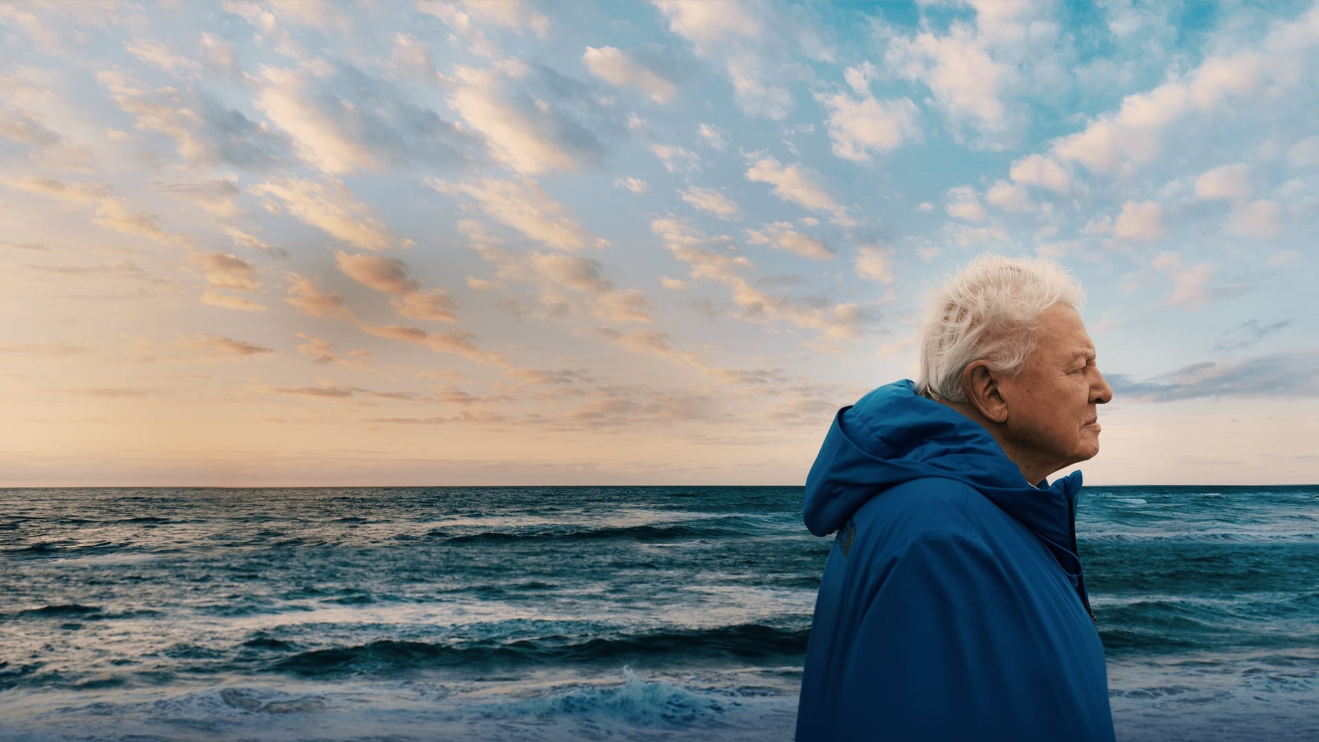 Foto do filme Oceanos com David Attenborough