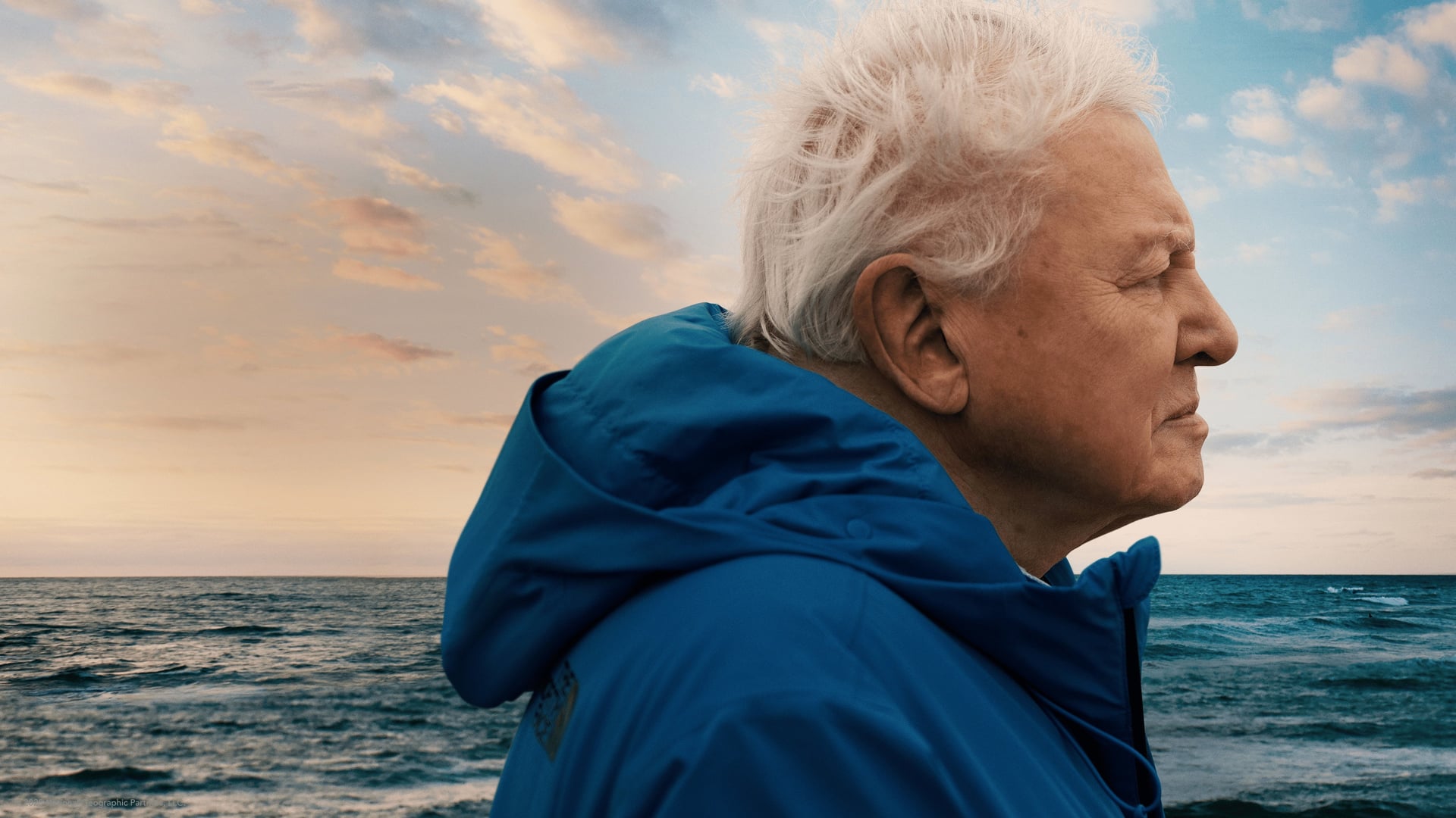 Foto do filme Oceanos com David Attenborough