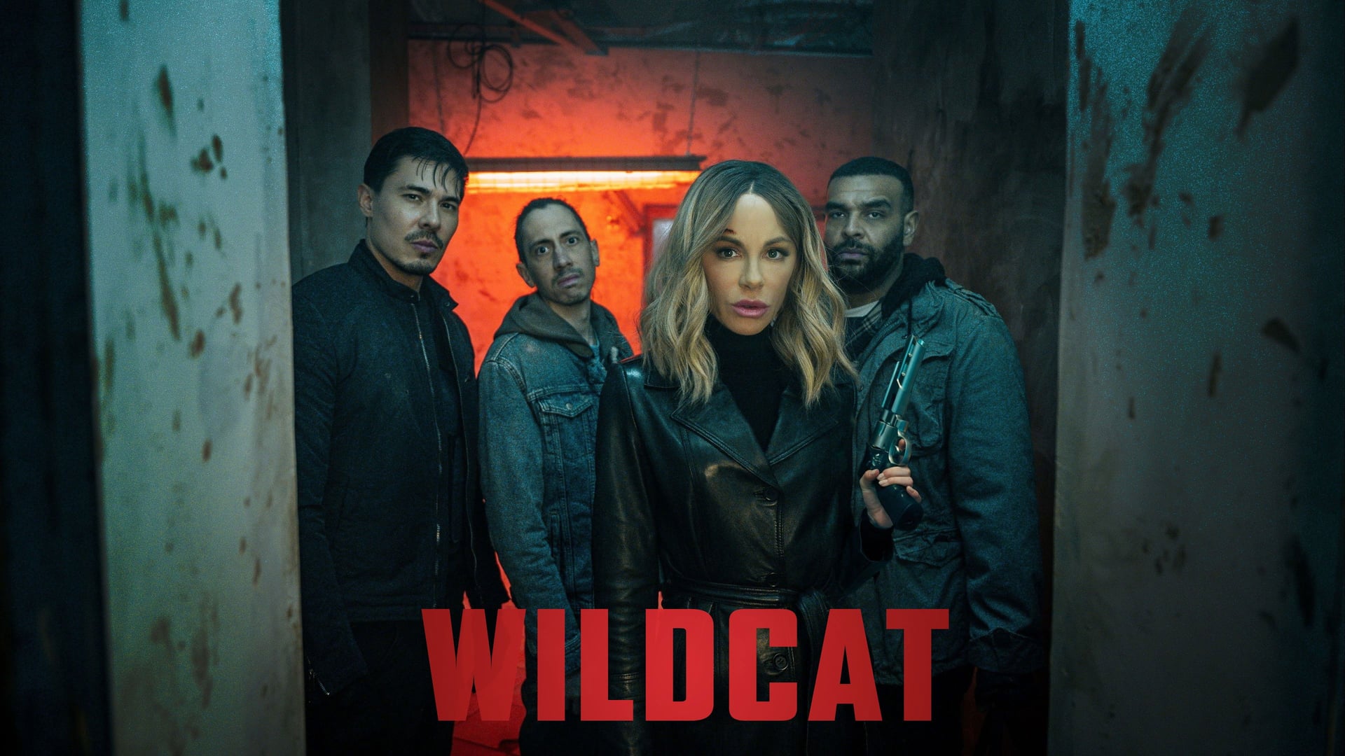 Foto do filme Wildcat