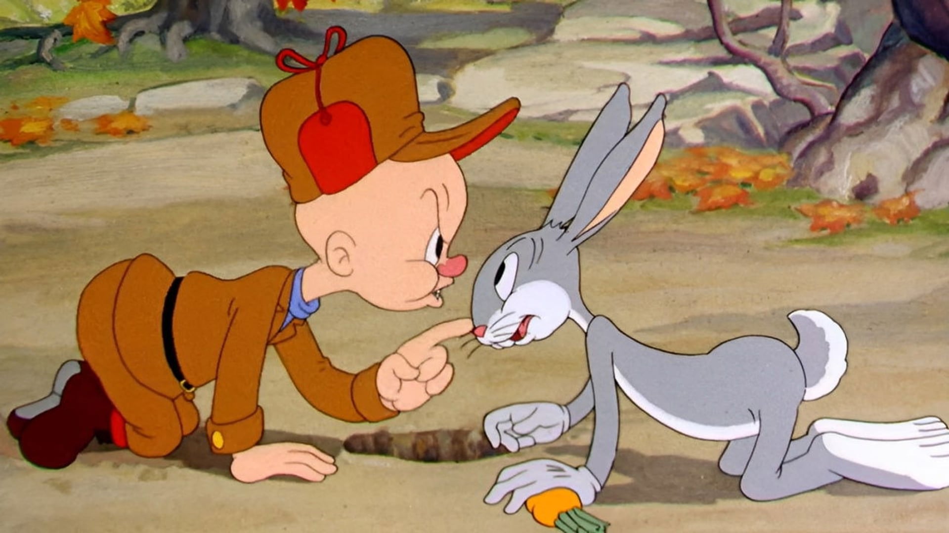 Foto do filme O Coelho Selvagem