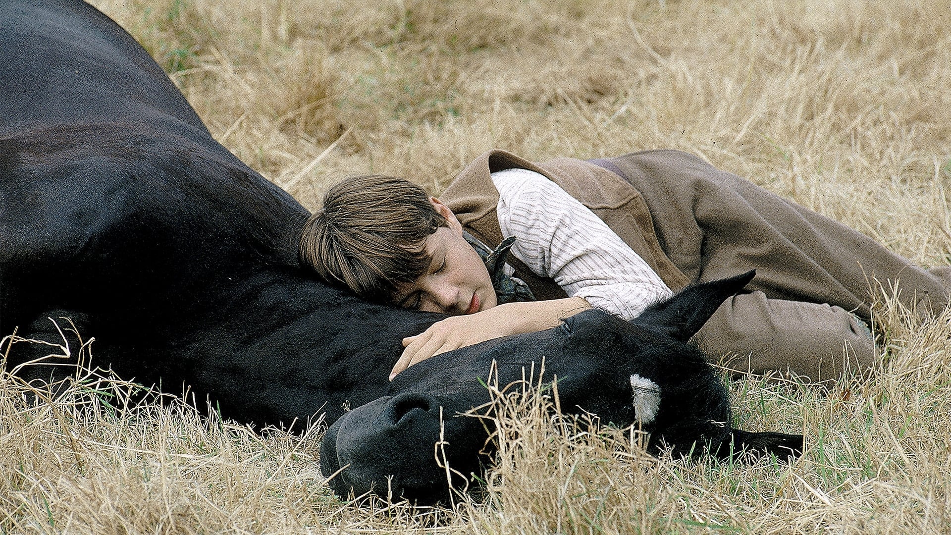 Foto do filme Beleza Negra