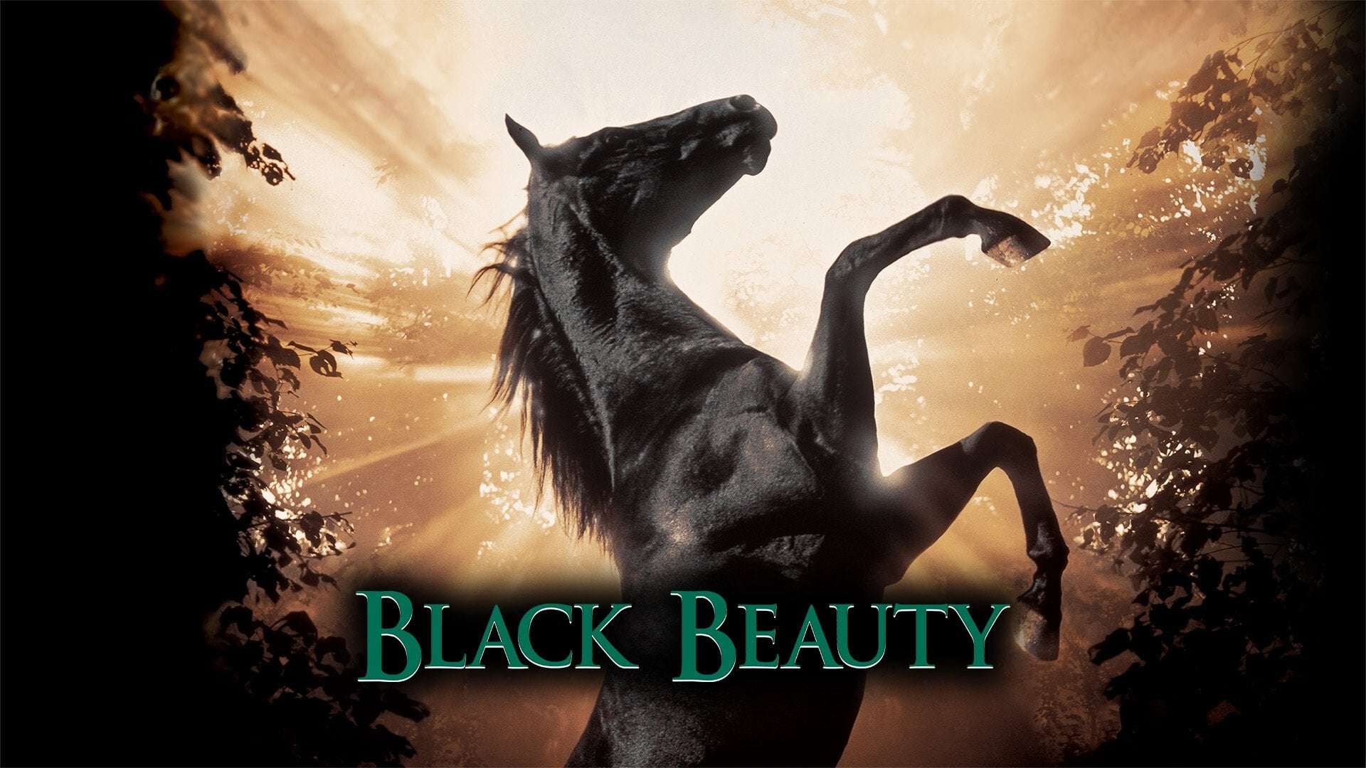 Foto do filme Beleza Negra