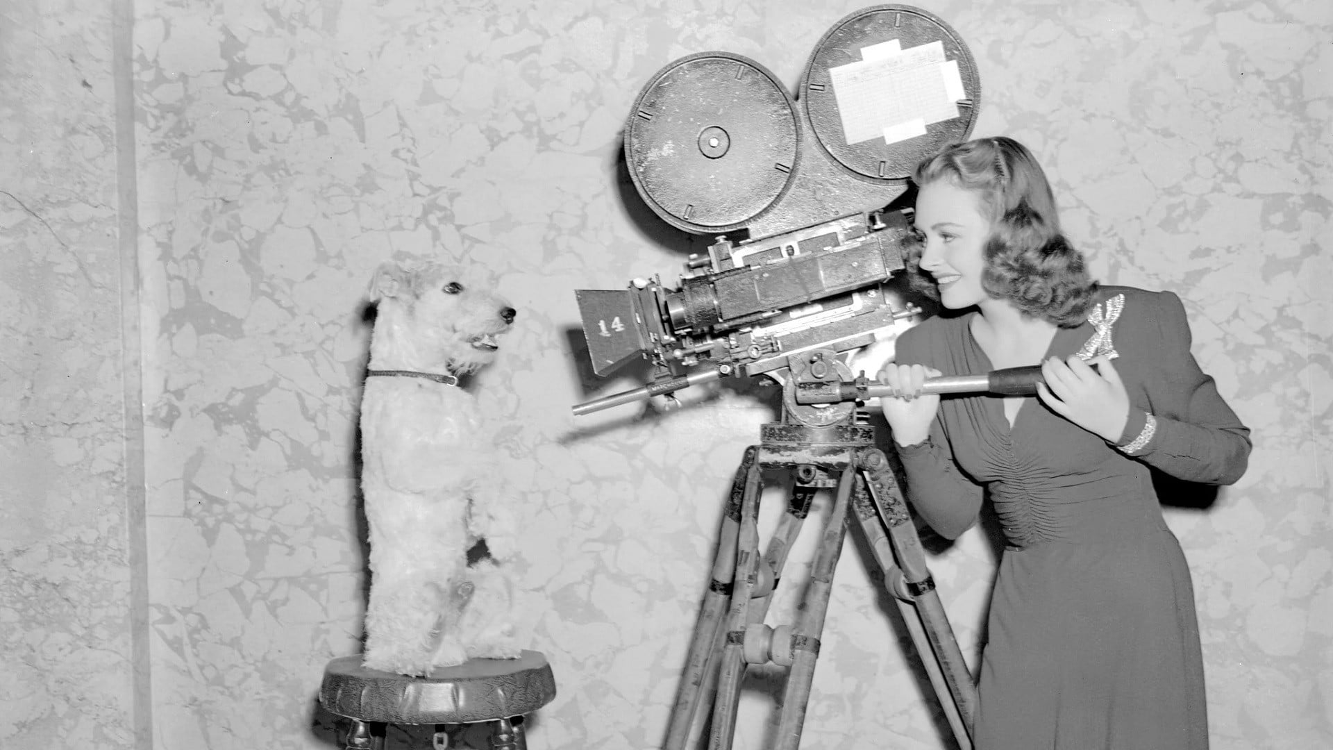 Foto do filme A Sombra dos Acusados