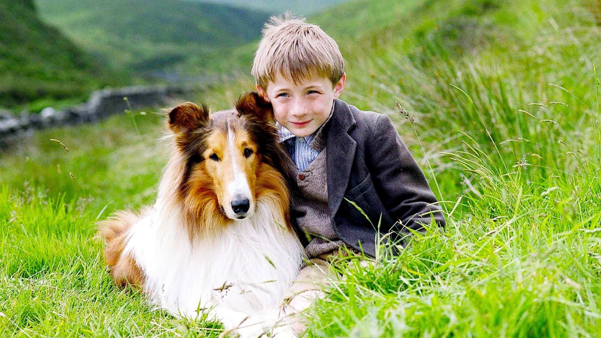Foto do filme Lassie