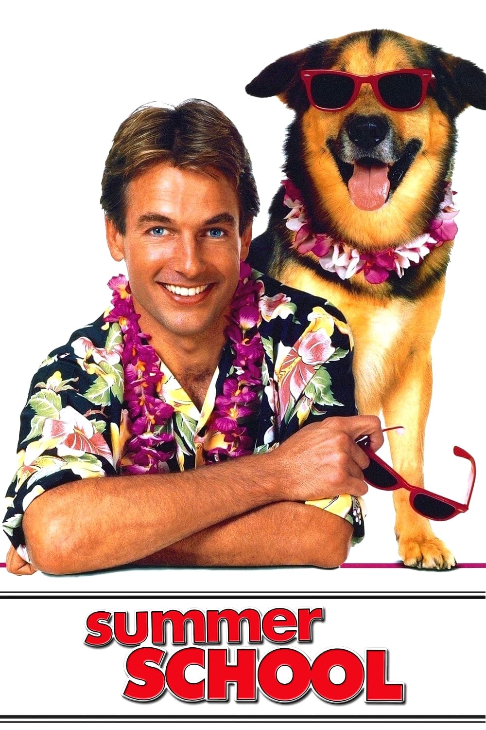 Curso de Verão