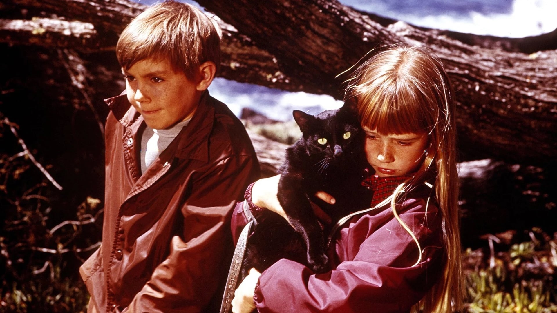 Foto do filme A Montanha Enfeitiçada